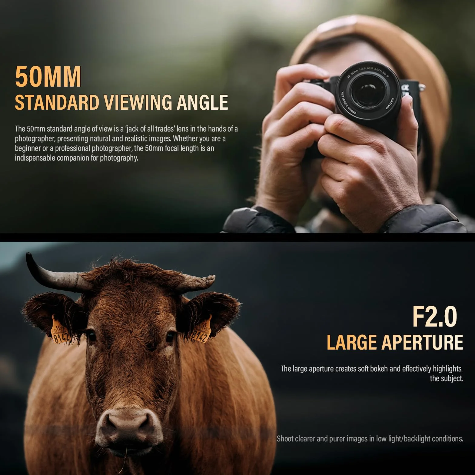 VILTROX 50mm F2.0 Plein Cadre Objectifs Autofocus STM pour Nikon Z Mount Camera Lenses Objectifs compatibles avec Nikon Z9 Z8 Z7 Z6 Z5 Z50 Z30 ZFC