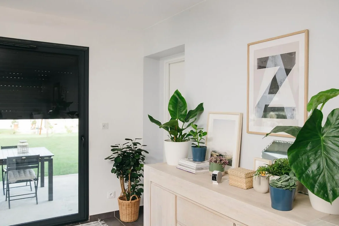somfy 2401507 - Indoor Camera, Caméras avec volet motorisé, Compatible : Alexa, Google Home et Tahoma, Vision Nocturne, Détection de Mouvement, Grand Angle, Enregistrements vidéo, Haut-Parleur
