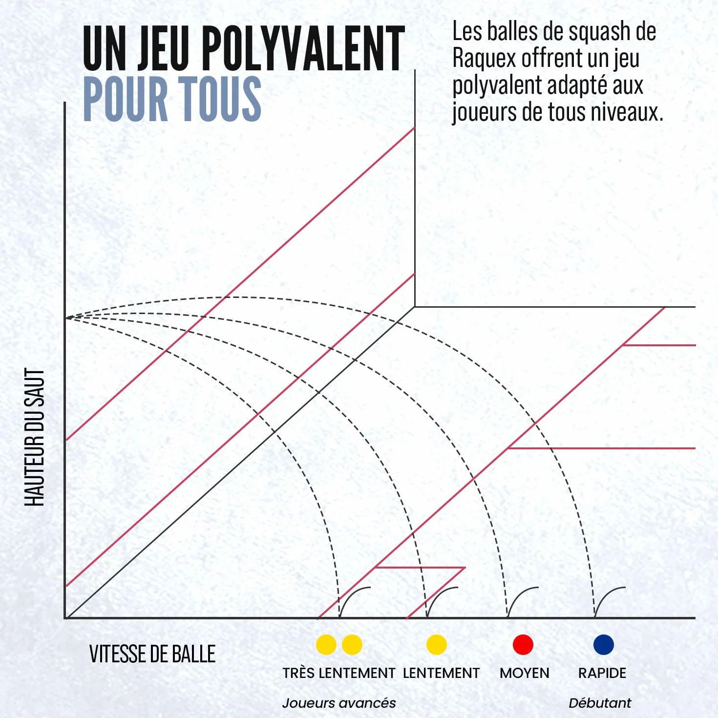 Raquex Balles de Squash Progression 4 Vitesses - Point Rouge, Bleu, Jaune, Double Jaune