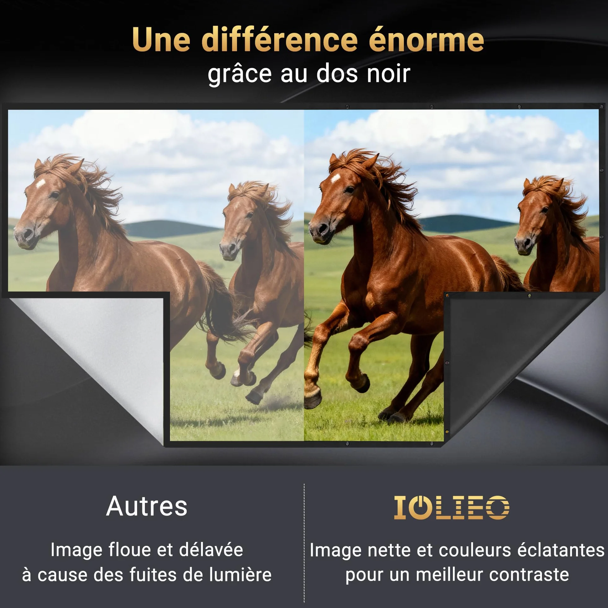 IOLIEO Écran de Projection 100 Pouces 16:9 Dos Noir Pliable Lavable Anti-Pli