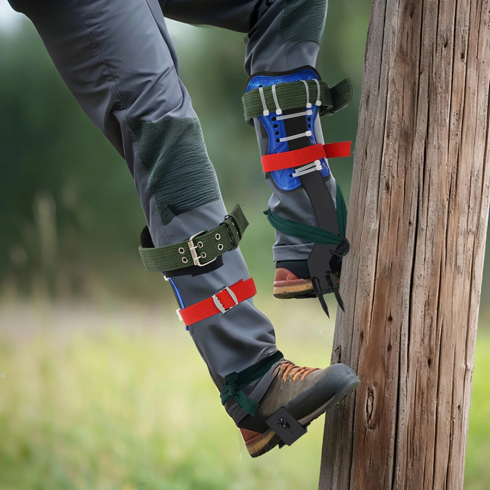 Crampons d'arbre en acier trempé 45# avec sangles réglables, pédale antidérapante 100kg pour élagage et cueillette