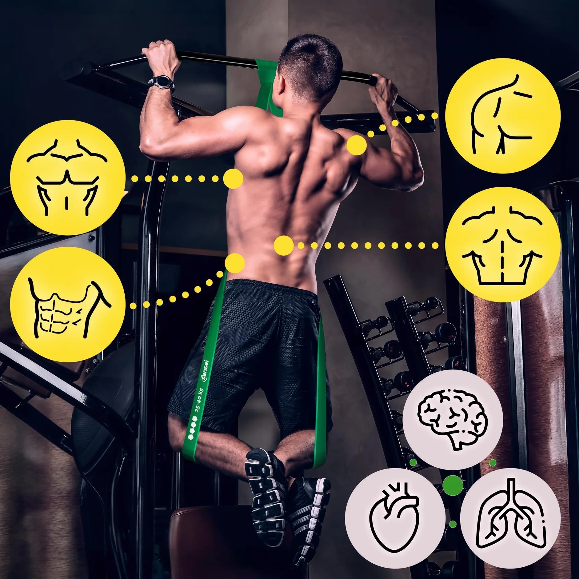 SENSEI Élastique Musculation Bande Élastique Fitness en Latex Naturel avec Guide, E-Book & Sac