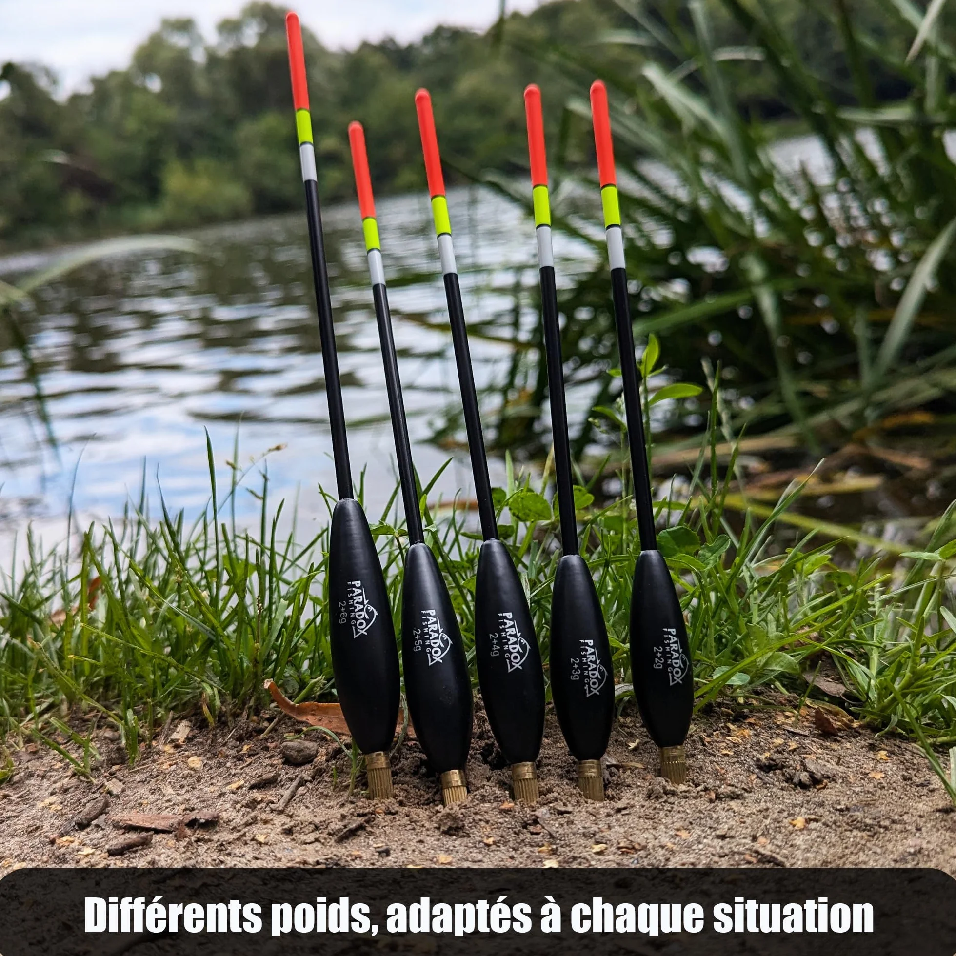 Paradox Fishing Lot de 5 flotteurs de pêche 2g 4g 8g pré-blanchi