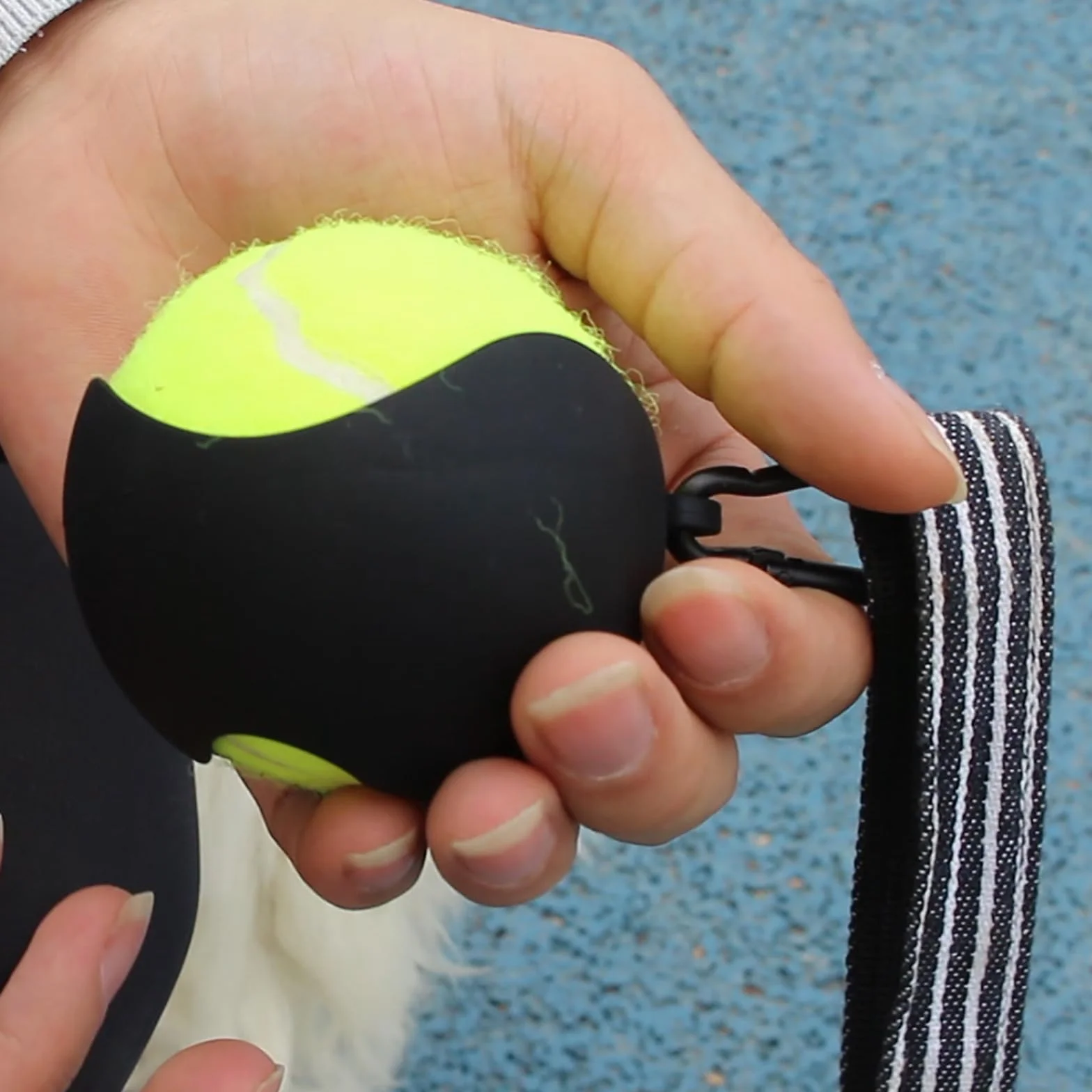 Porte-boule portable pour chien avec laisse Support de balle de tennis pour extérieur