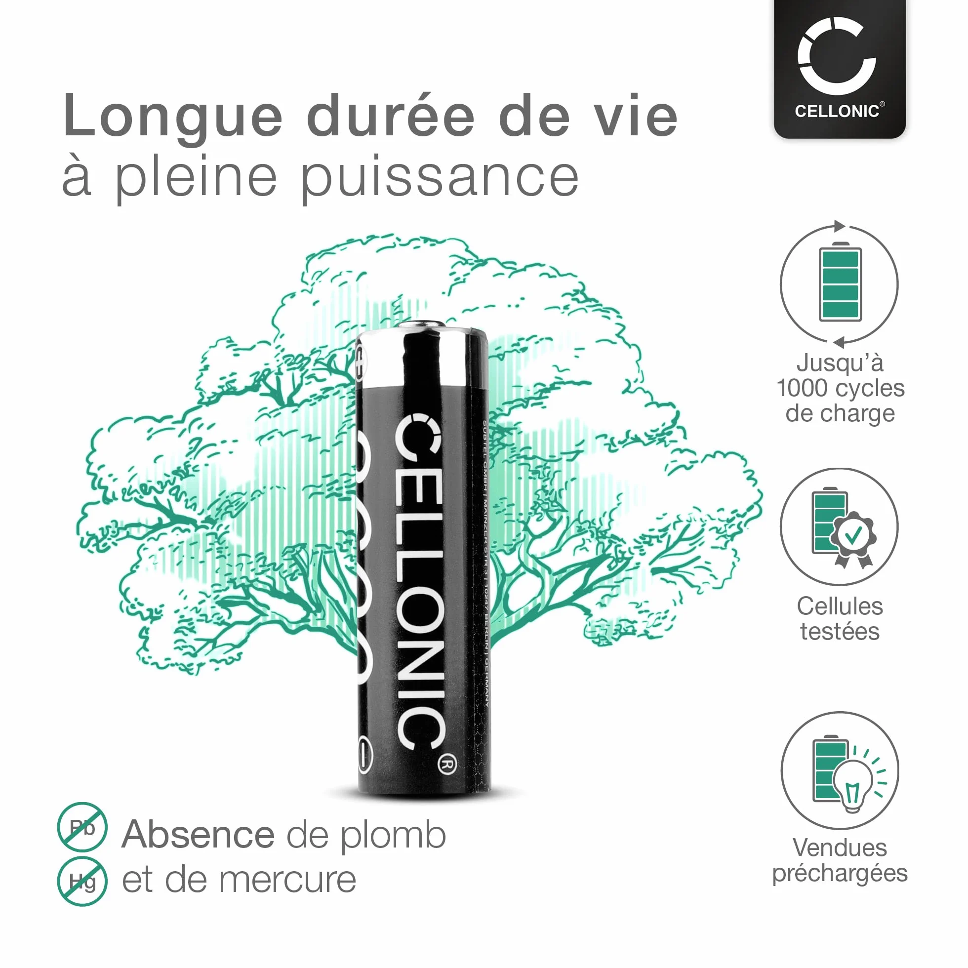 CELLONIC 4X Batterie pour Téléphone sans Fil Compatible avec Siemens Gigaset C620A,C620,C620H - (2600mAh, 1.2V)