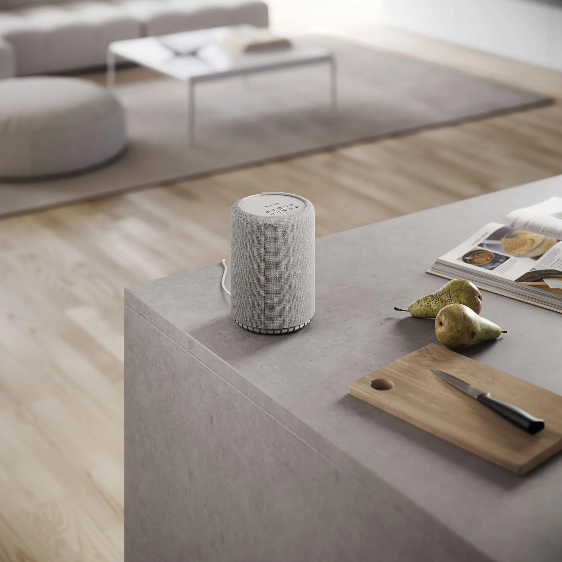 Audio Pro A10 MkII W, enceinte multipièce WiFi et Bluetooth 5.0, classe numérique 52 W, croisement 300 Hz, AirPlay 2, Google Cast, Spotify Connect, Bluetooth 5.0, support mural/plafond (gris clair)