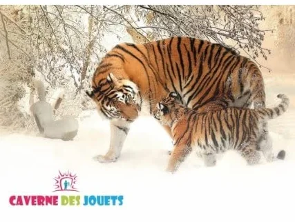 cavernedesjouets Jeu de Croquet Traditionnel en Bois avec Sac de Transport - maillet 80 cm, 6 Joueurs - Made in France
