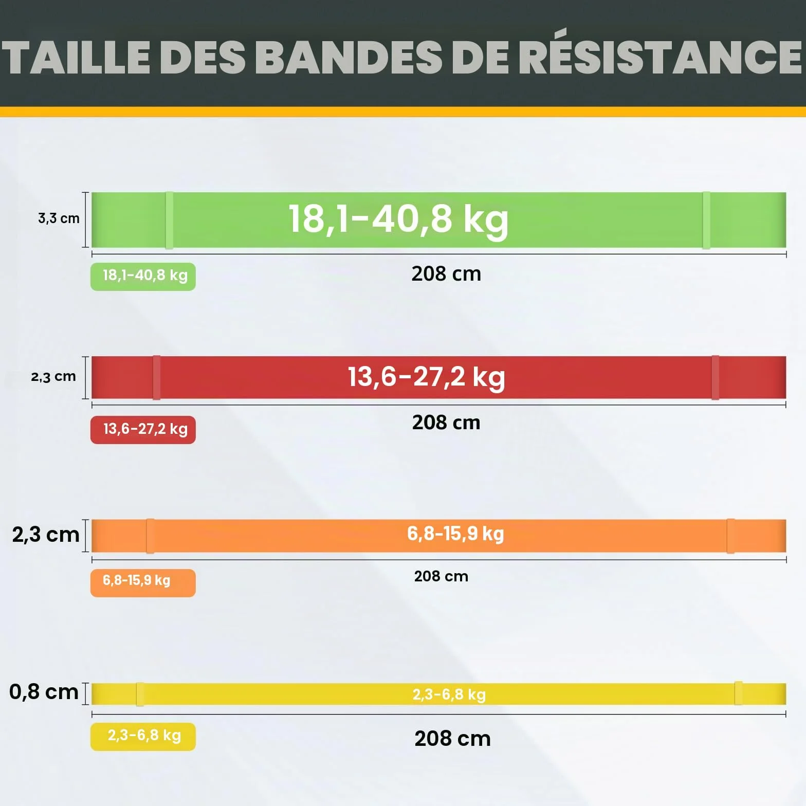 Lot de 5 Bandes de Résistance avec Ancrage de Porte pour Fitness, Yoga, Pilates, Musculation