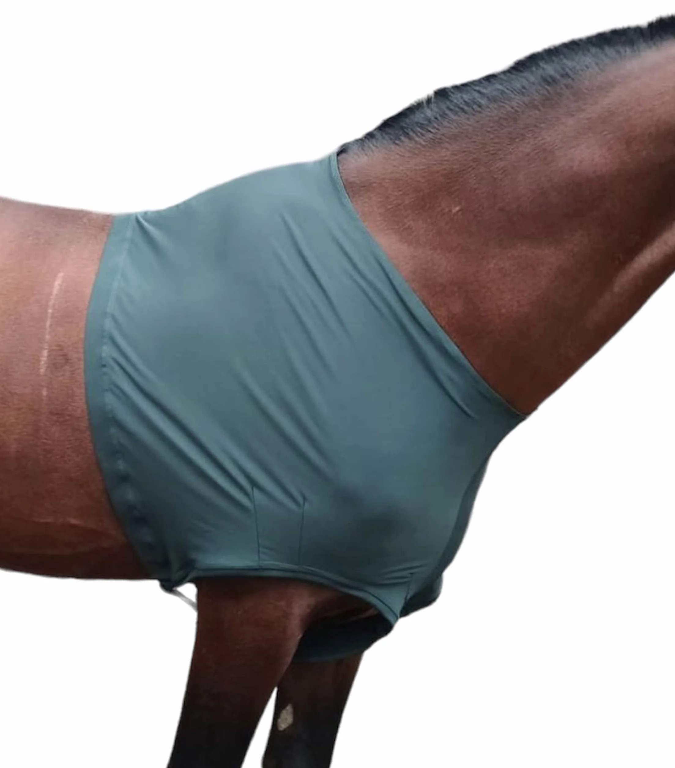 Protège-épaules Cheval Lycra Stretch Grand Vert Chasseur Majestic Ally