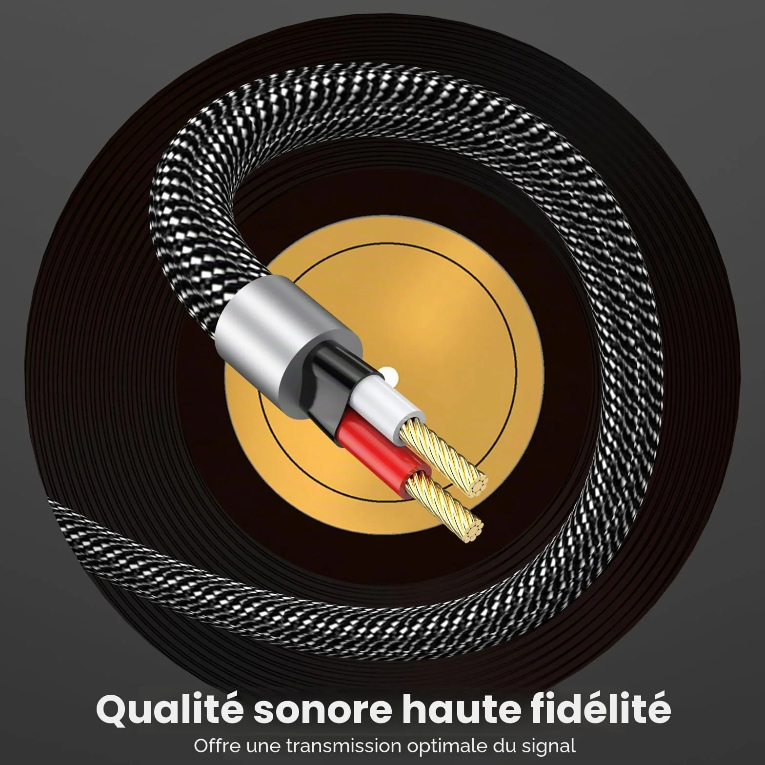 MOSWAG Câble Audio 3.5mm vers Double 6.35mm 1M, 6.35 vers 3.5 Mâle Y Splitter TRS Jack, Plaqué Or Nylon Tressé 3,5mm à 2X 6,35mm Splitter Câble pour Amplificateur, Cinéma Maison