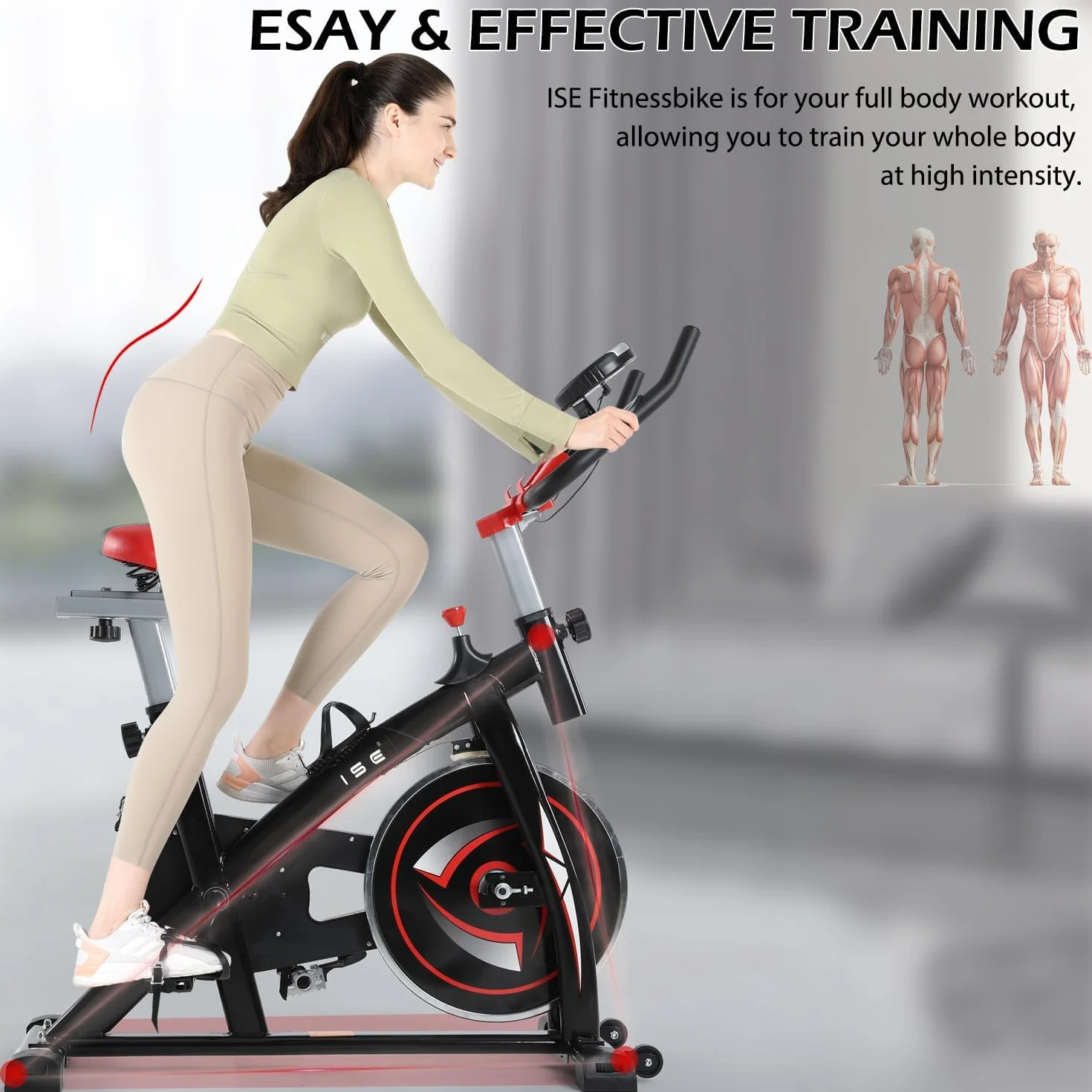 ISE Velo Appartement Volant d'Inertie 13KG Cardio Silencieux Réglable en Hauteur