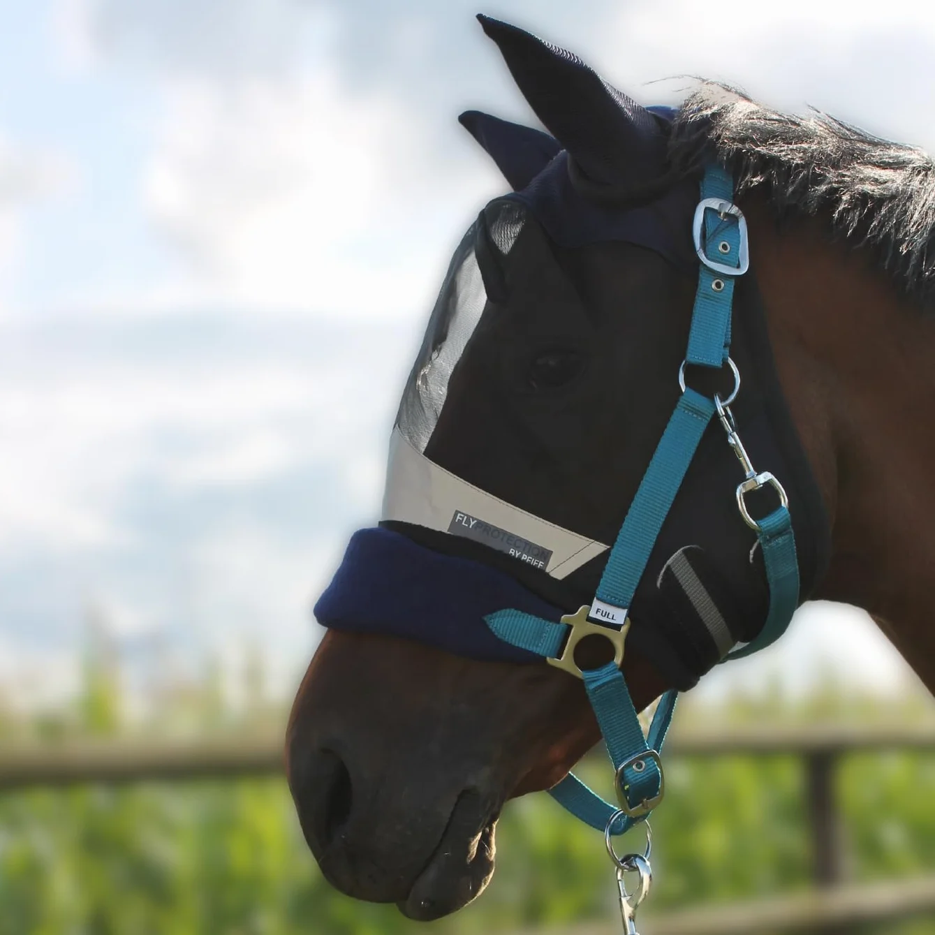 PFIFF Shetty Masque Anti-Mouches Protection UV pour Cheval Bleu foncé