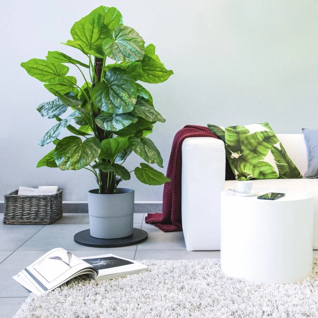 Hama Plateau Tournant Universel Hama 30cm (Plateau Rond Rotatif 360° Multifonction, Taille L, Supporte 80 kg, idéal pour TV, Enceintes, Ecrans, Plantes, Ustensiles de Cuisine, Modelisme) Noir
