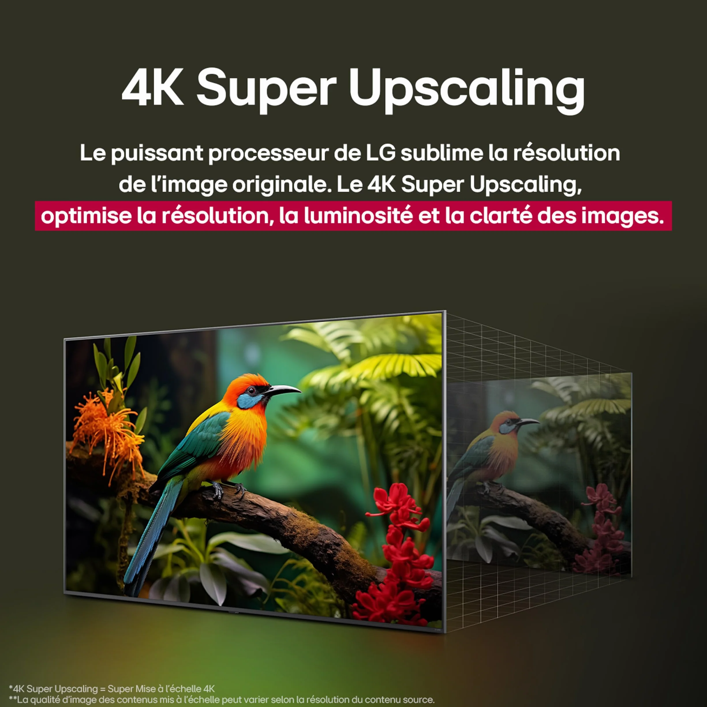 LG TV QNED AI 2025 50QNED8E 50" (126cm) 4K UHD HDR10 webOS 25 Télécommade AI Magic Remote Alexa Google Assistant AirPlay 2