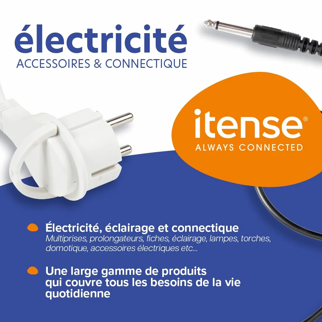 Rallonge Électrique 2 m 16 A 1 Prise 2P+T Câble HO5VV-F 3G1 mm² 3880 W Blanche Sécurité Enfant