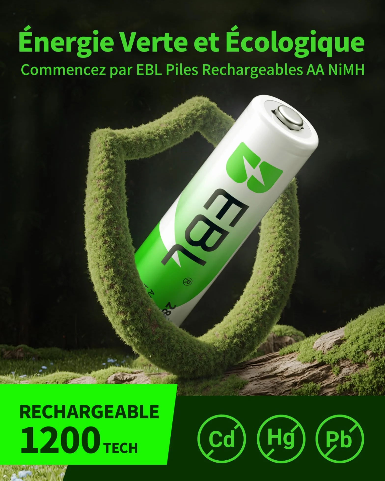 EBL Piles AA Rechargeables 2800mAh 1,2V Ni-MH HR6 Haute Performance Longue Durée avec Boîte de Stockage