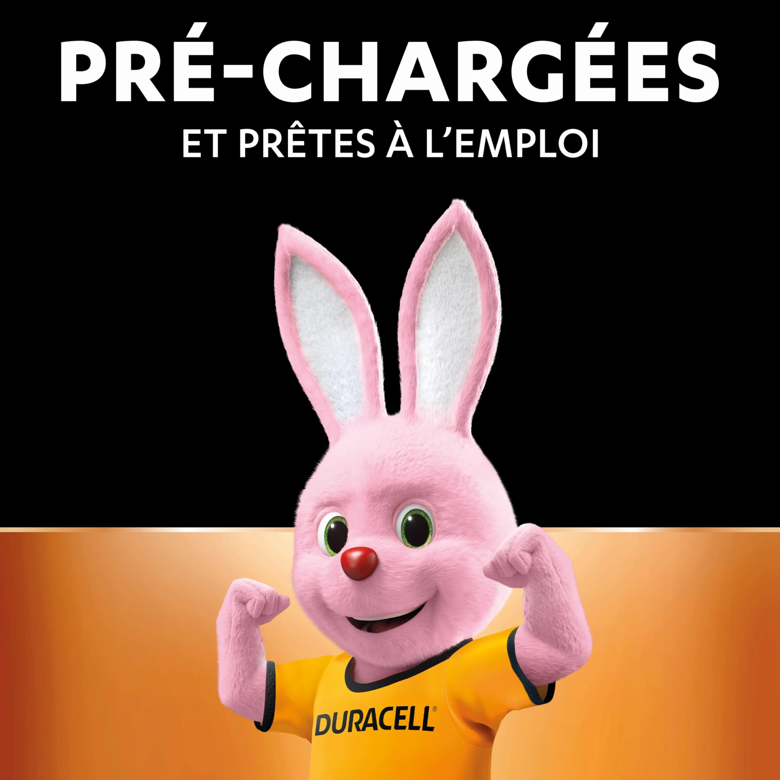 Duracell Piles AAA Rechargeables 750 mAh NiMH Lot de 4 1000 Recharges Pré-chargées
