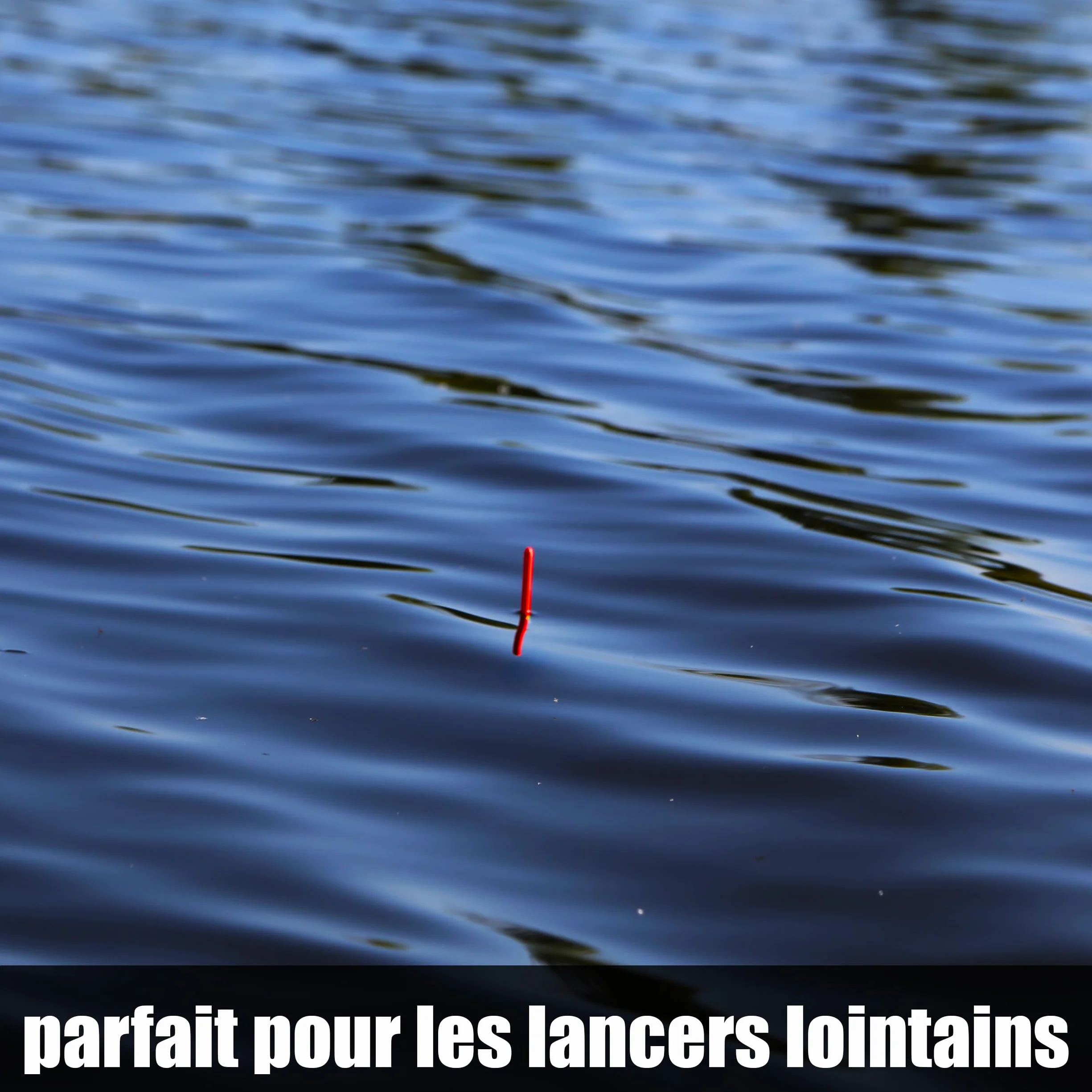Paradox Fishing Lot de 5 flotteurs de pêche 2g 4g 8g pré-blanchi