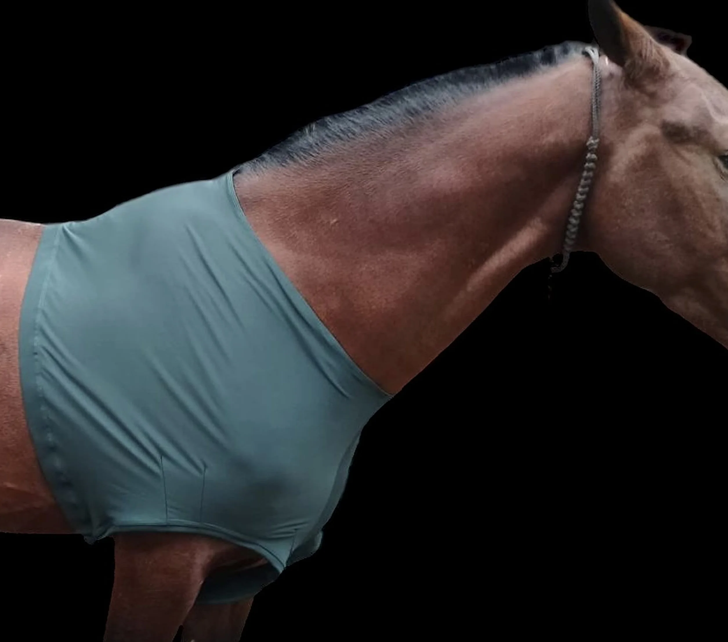 Protège-épaules Cheval Lycra Stretch Grand Vert Chasseur Majestic Ally