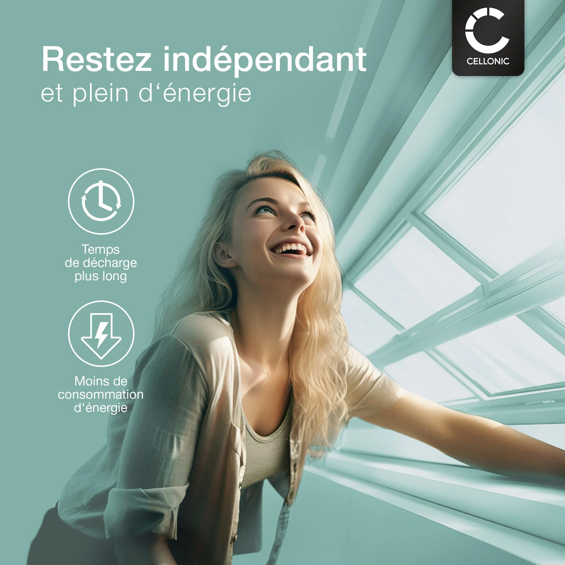 CELLONIC 1x Batterie pour Domotique/Smart Home Compatible avec Velux SSL 946933, Solar Shutter Motor, 946933 - (2000mAh, 10.8V)