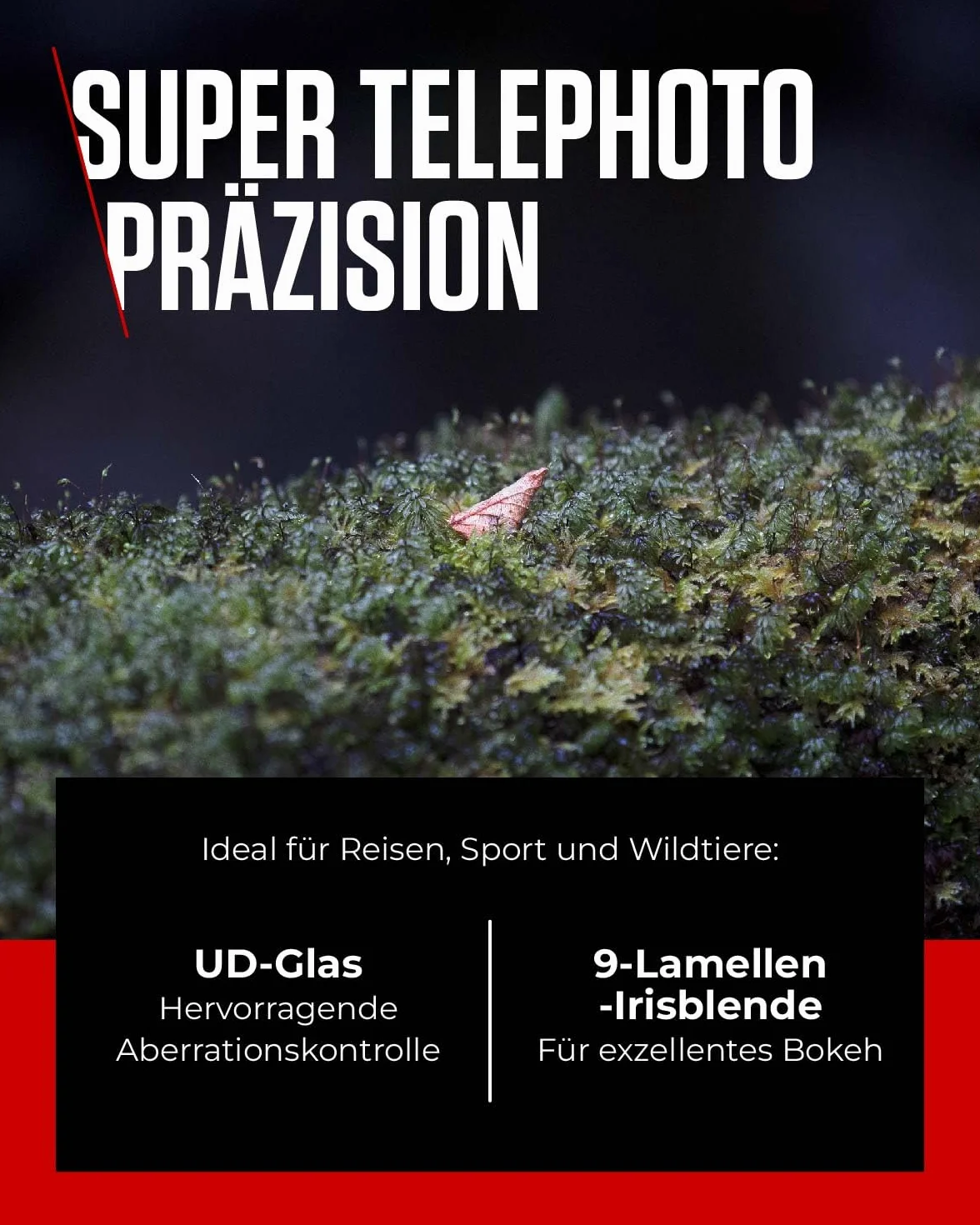 Canon RF 70-200 mm F4L IS USM téléobjectif zoom stabilisateur image optique 5 vitesses