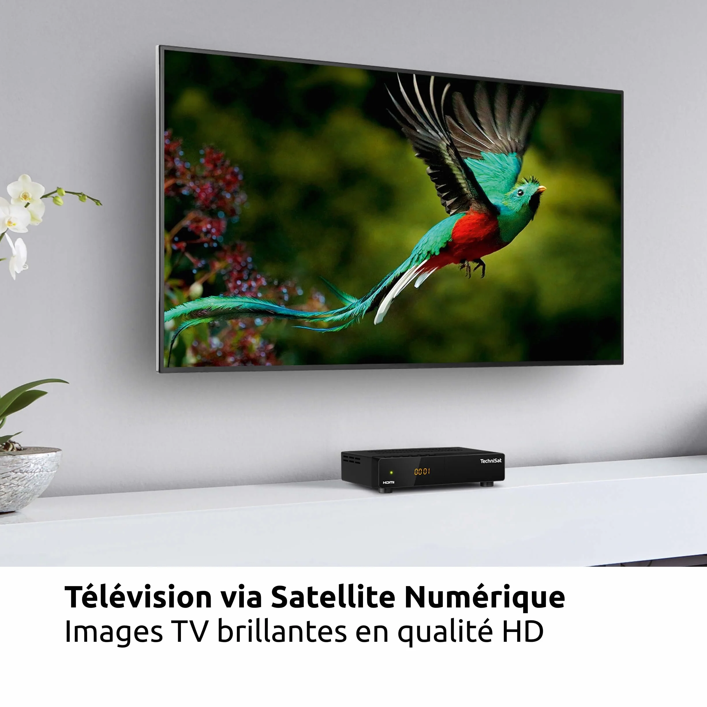 TechniSat HD-S 261 - Récepteur Satellite HD Compact (Sat DVB-S/S2, HDTV, HDMI, USB, liste préinstallée, minuterie, Commande Locale, télécommande) Noir