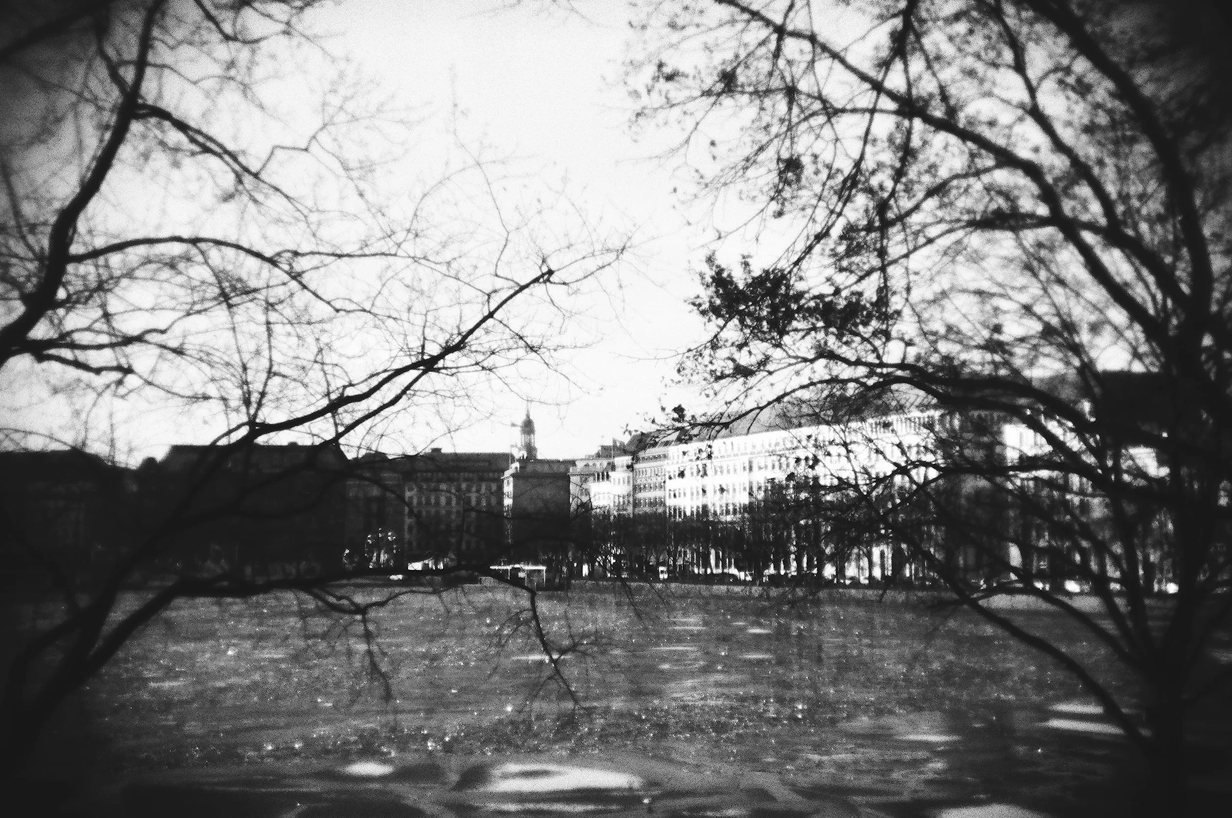 Holga artLINE Appareil Photo 35 FC avec Flash Noir