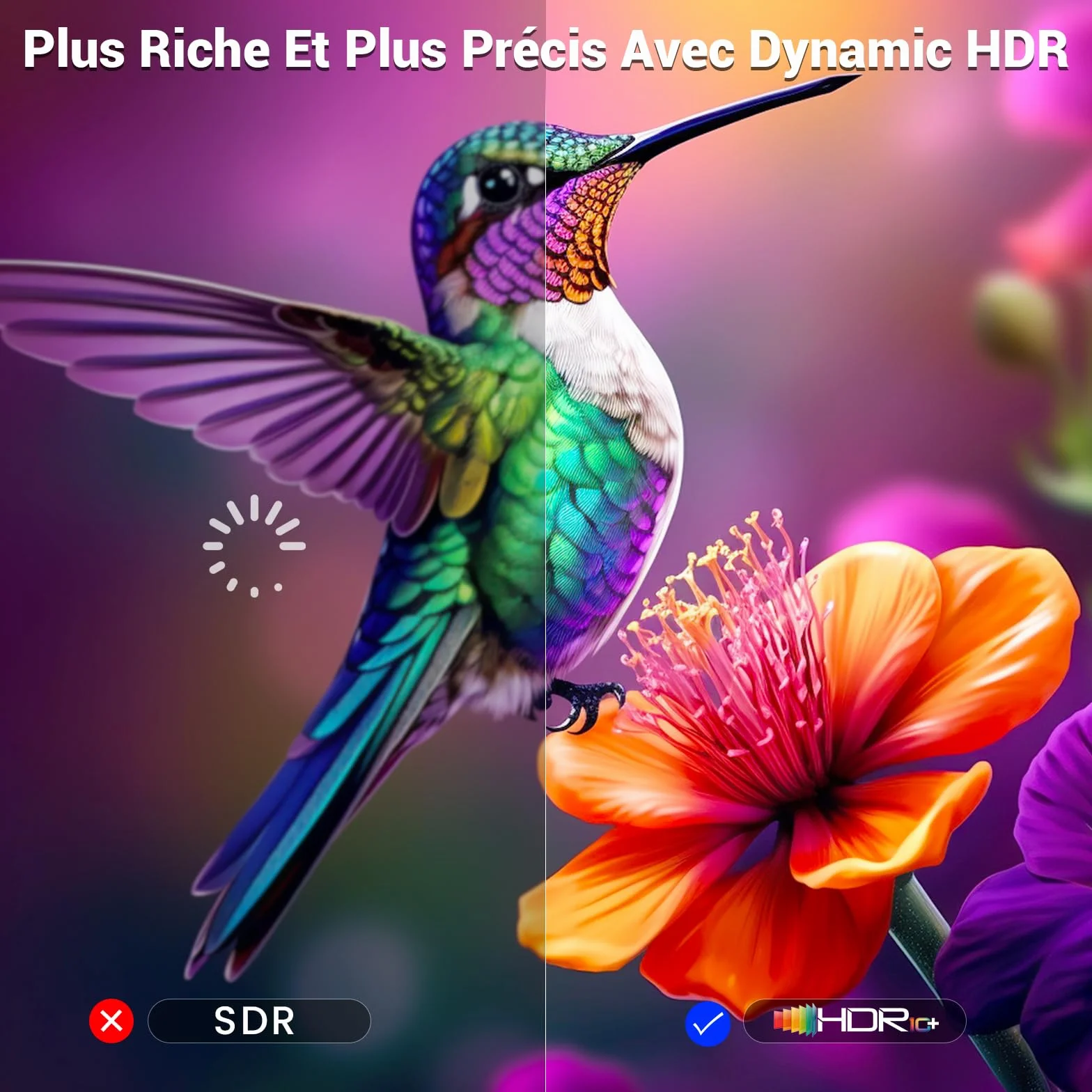 Etseinri Câble HDMI 2.1 2M, Certifié 48Gbps Ultra Haute Vitesse 4K 240Hz 8K 60Hz HDCP 2.3 eARC HDR10+ Dolby Vision pour PC Moniteurs Gaming HDTV