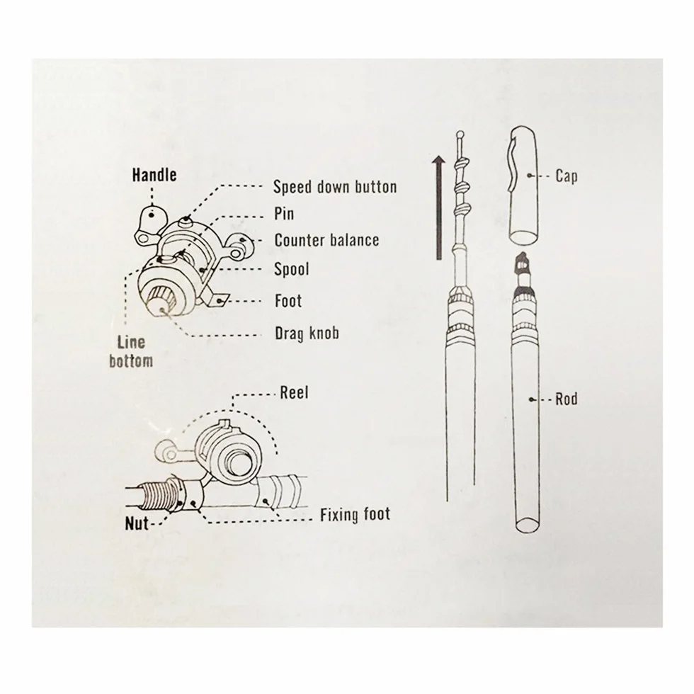 Lixada Stylo Télescopique Canne à Pêche Combo Set Mini Portable avec Bobine Alliage d'aluminium Ligne