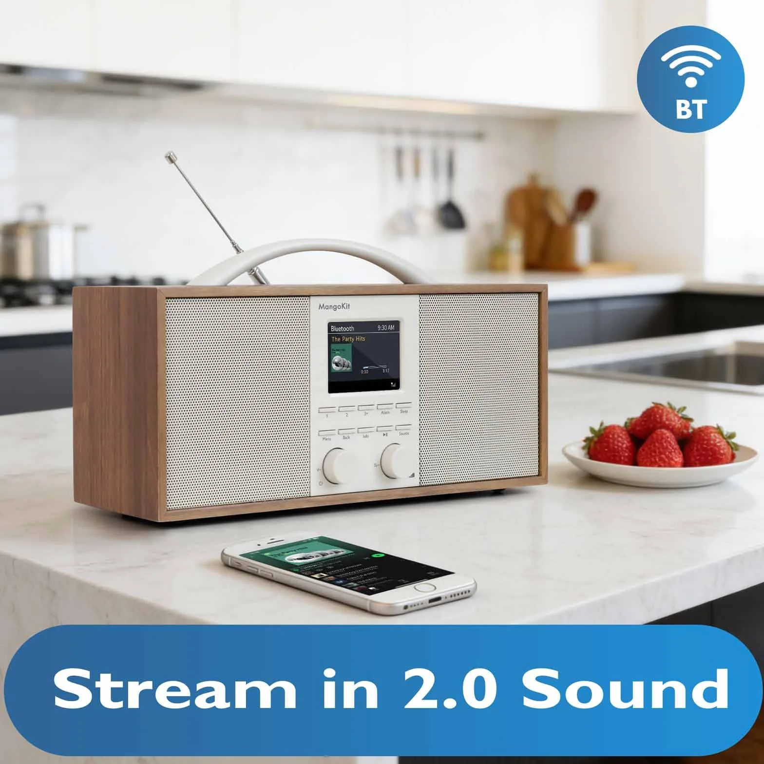 SR40 Radio Internet Rechargeable avec Bluetooth,Podcast Player-Radio Dab/Dab+ et FM stéréo, Batterie 10+ Heures, Véritable Son 2.0, 150 présélections,boîtier Bois et poignée Aluminium-Noyer