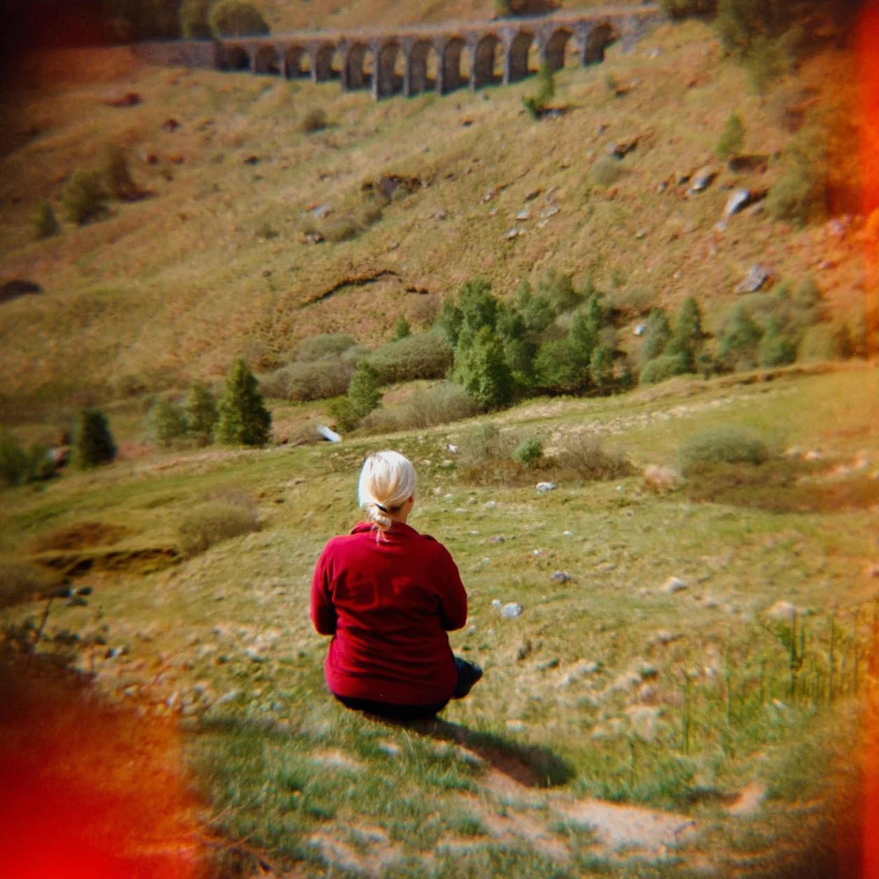 Lomography Diana F+ Camera - CMYK