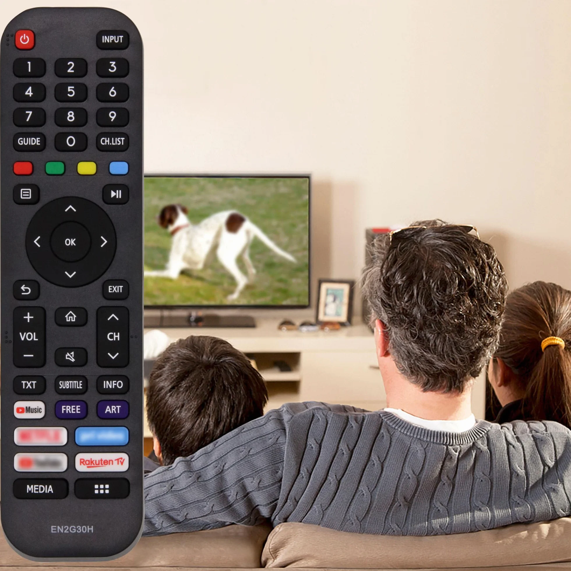 Nouvelle Riry - Remplacement de la télécommande Hisense EN2G30H pour la télévision Intelligente Hisense VIDAA LCD LED 4K UHD