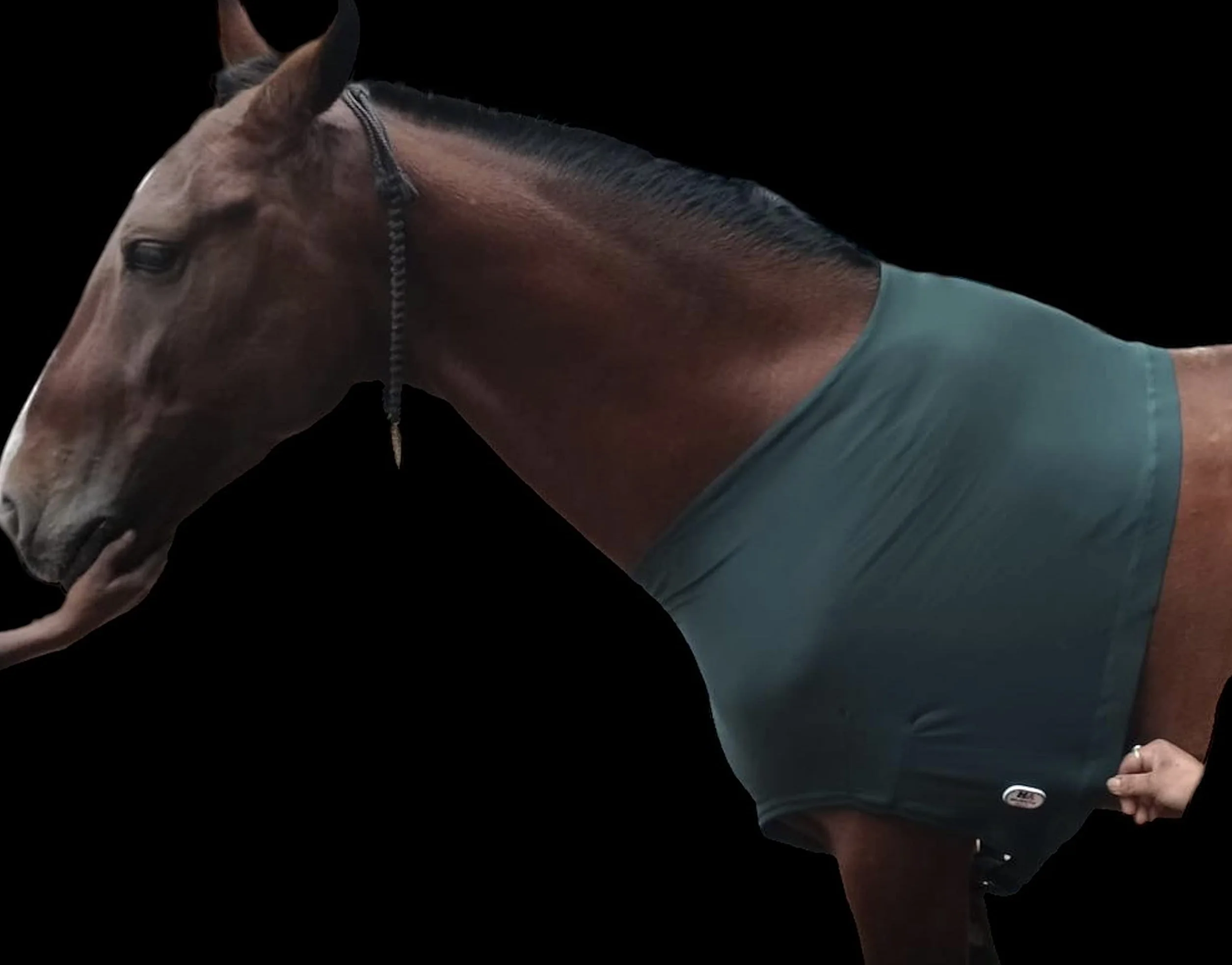 Protège-épaules Cheval Lycra Stretch Grand Vert Chasseur Majestic Ally
