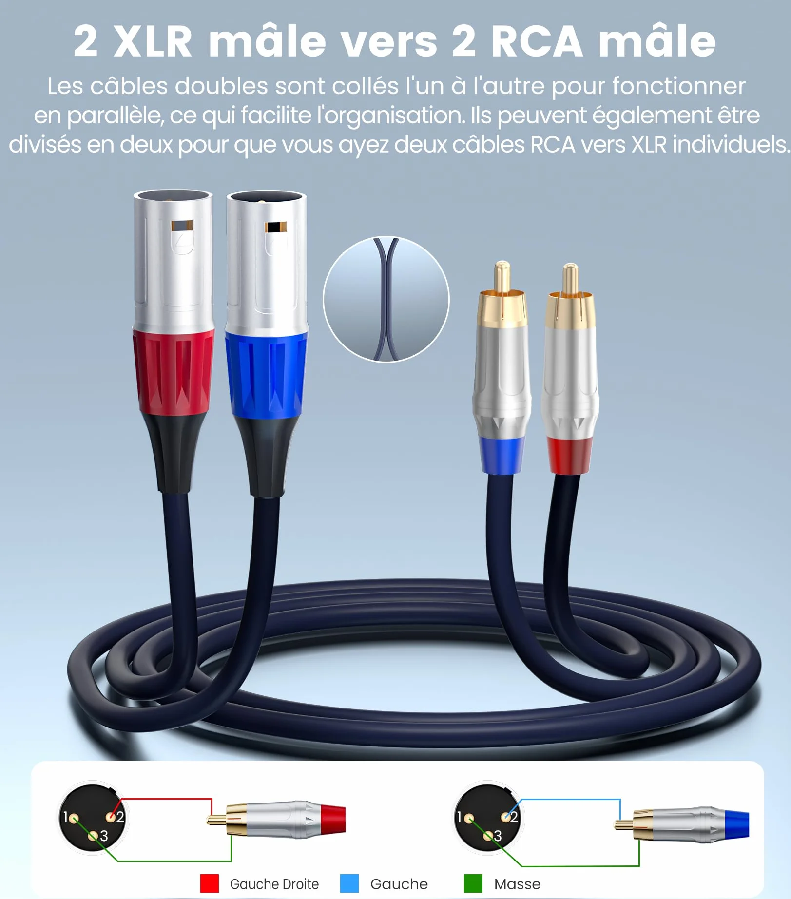Tisino Câble double RCA vers XLR, 2 RCA vers 2 XLR mâles HiFi stéréo connexion microphone câble câble de chemin - 1 m