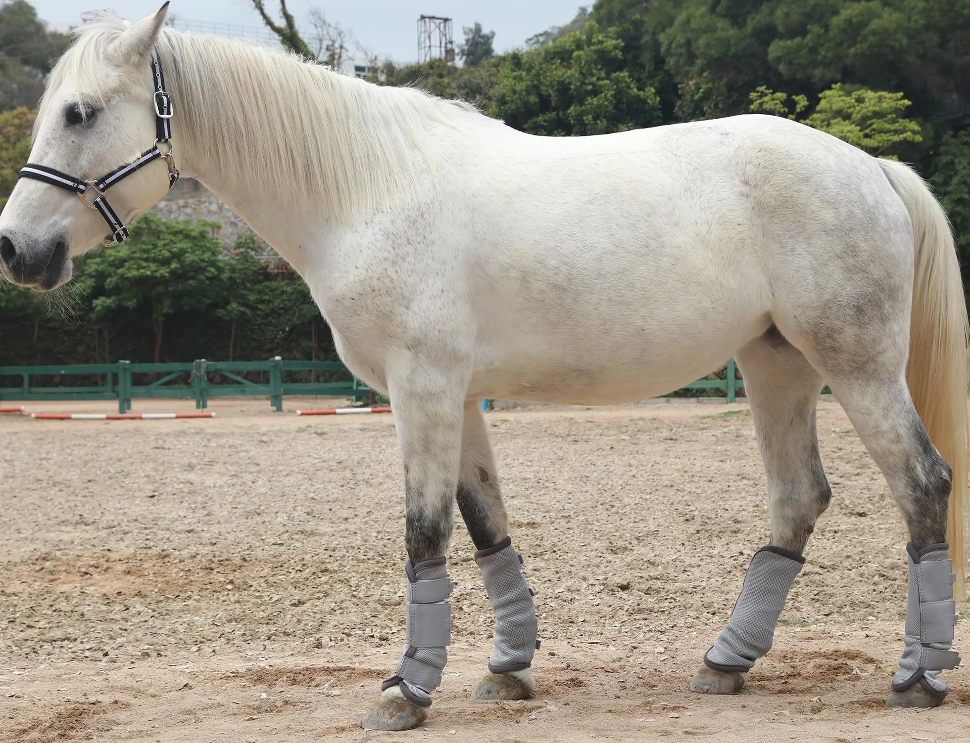 LEAFOREST Lot de 4 bottes de protection antidérapantes pour poneys - Maille respirante - Gris