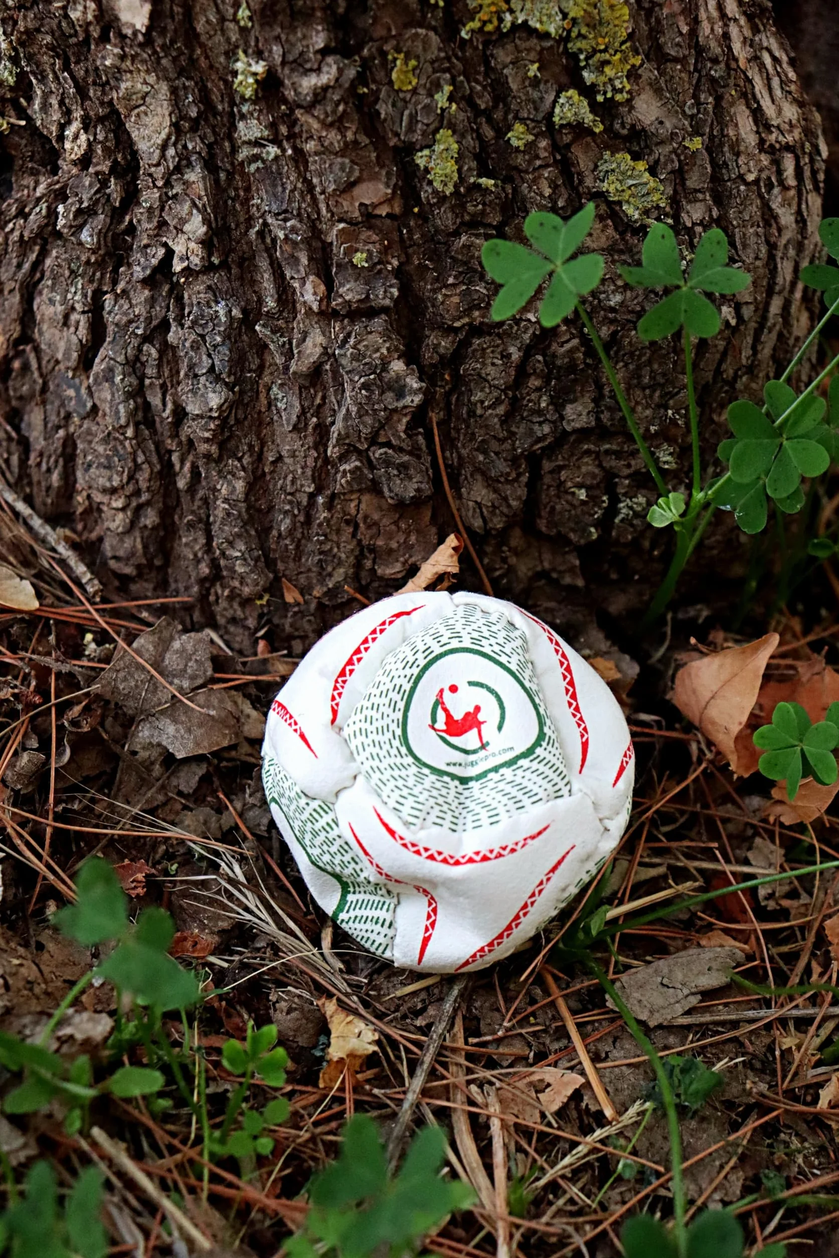 Footbag Officiel Coupe du Monde 2010 8 Panneaux Ultrasuede