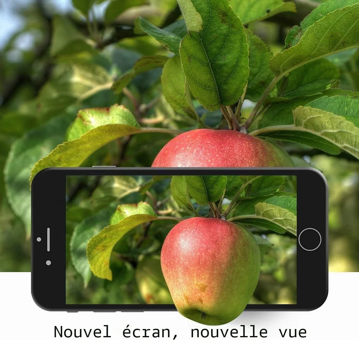 Brinonac Écran pour iPhone 5s/SE 2016 4,0" LCD de Remplacement Complet Préassemblés Capteur de Proximité, Caméra Frontale, Écouteur et Bouton Home avec Kit de Réparation (Noir)