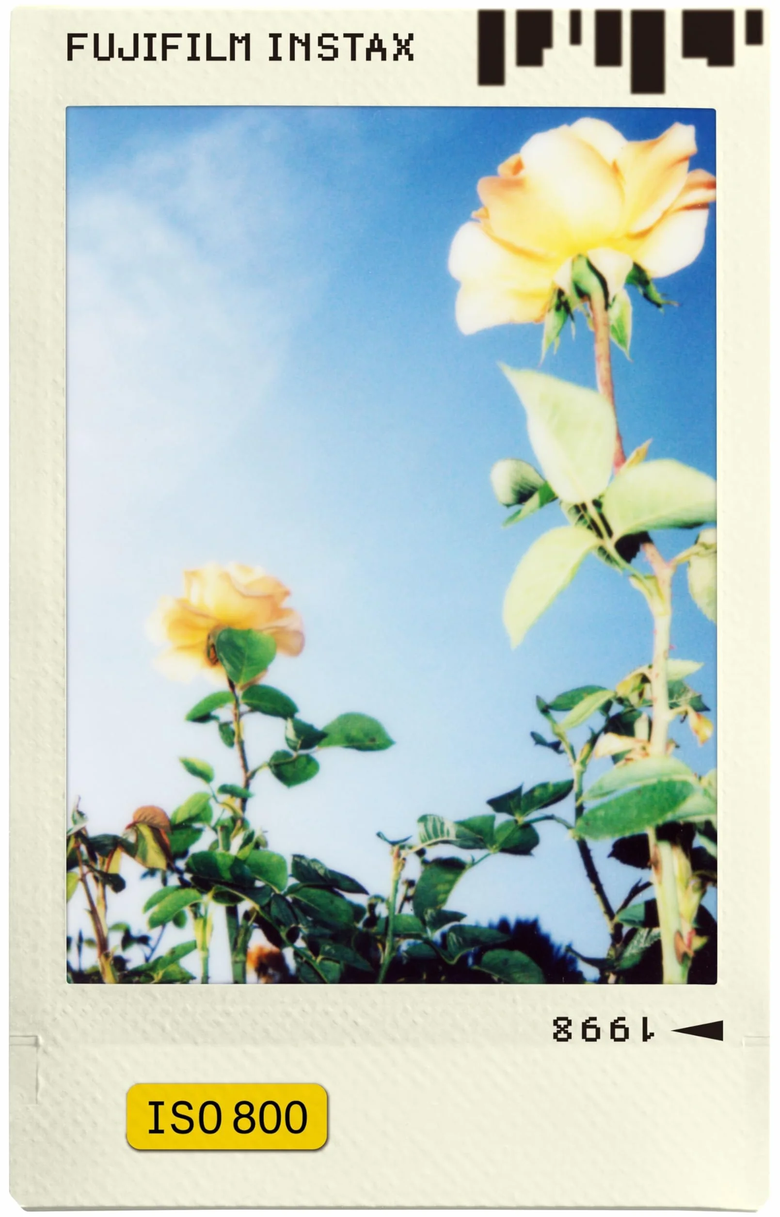 instax Min Film Photo Slide Pack de 10