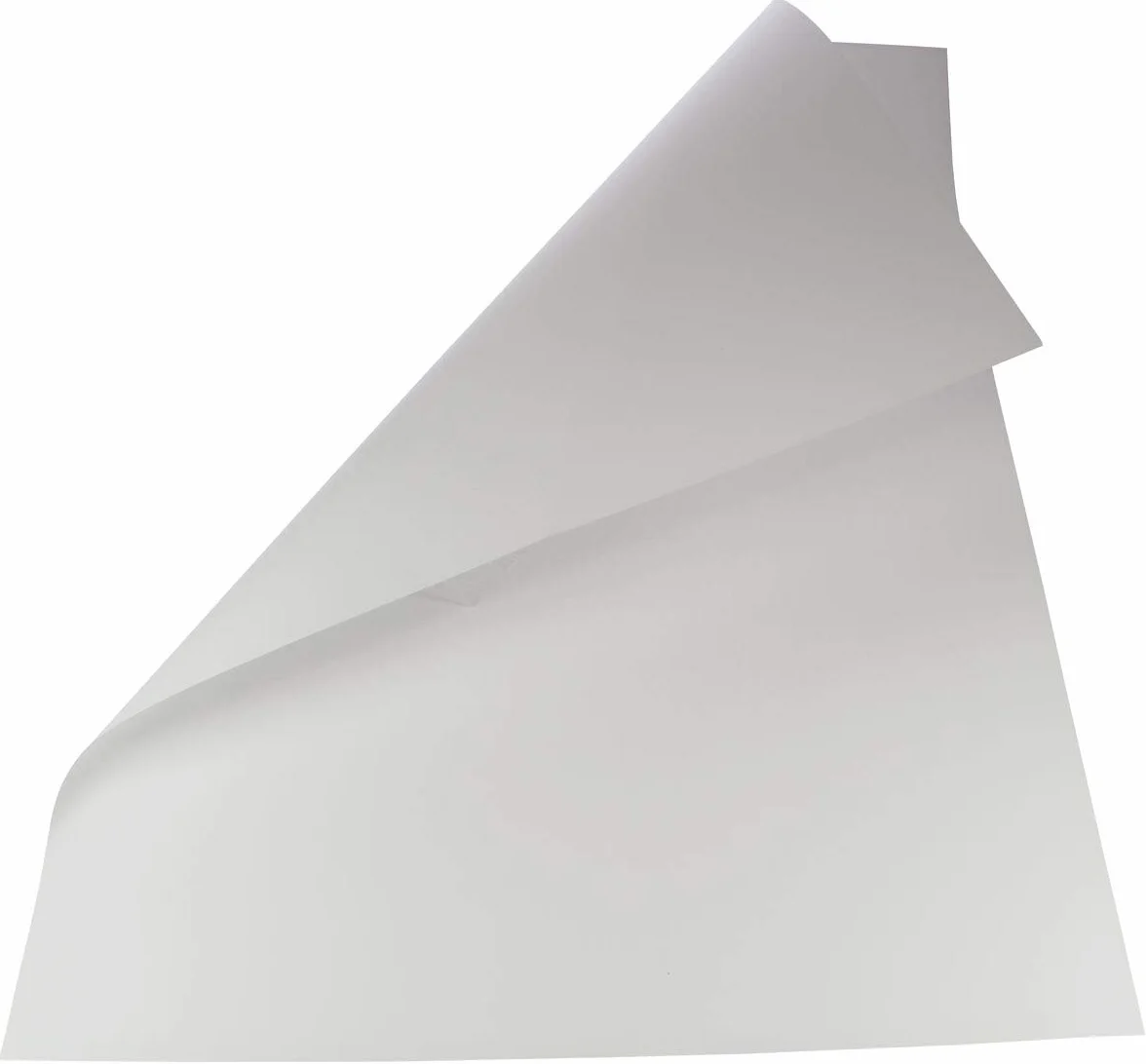 Folia Bringmann 6100 folia Pack de 10 feuilles de carton photo 300 g/m² 50 x 70 cm (Blanc) (Import Allemagne)