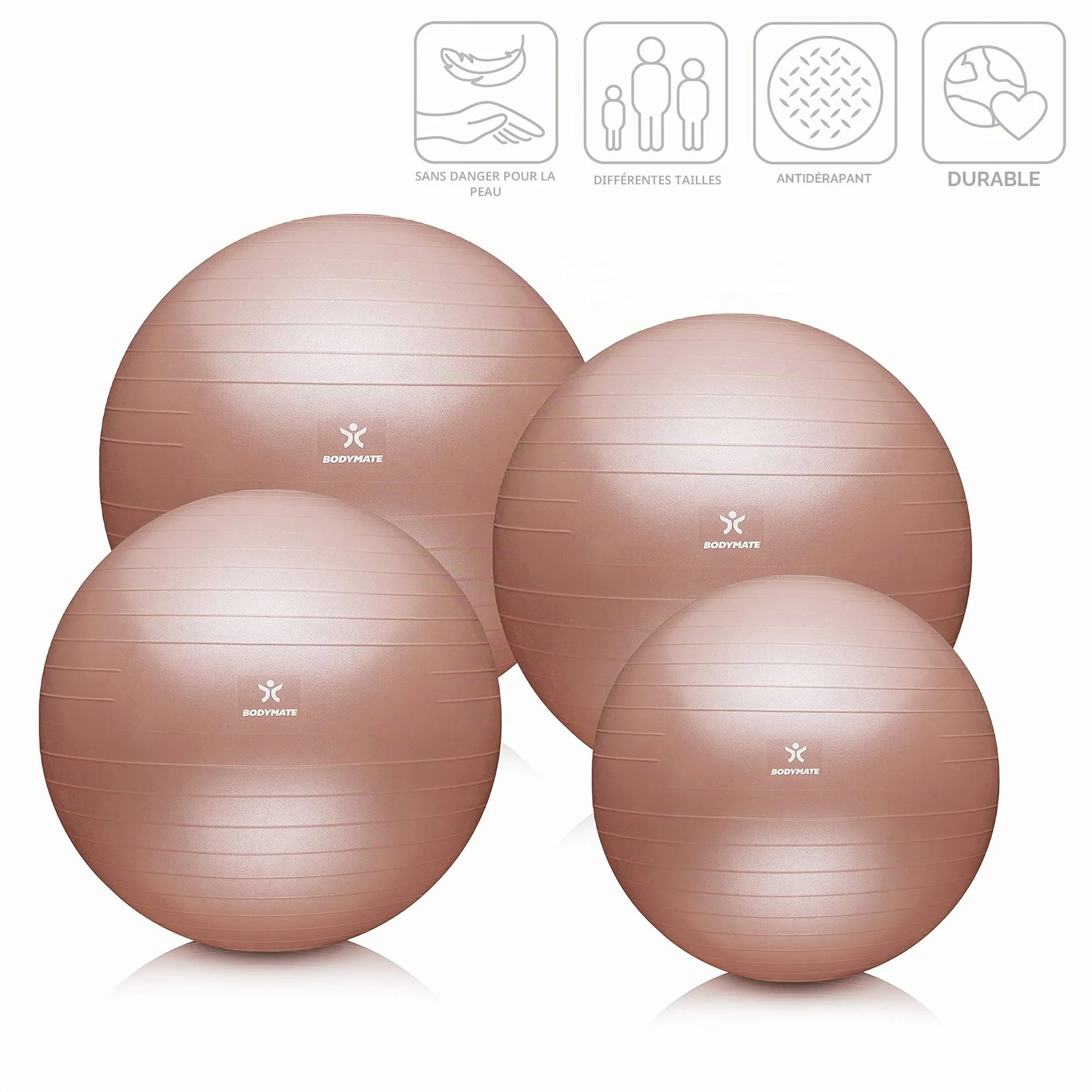 BODYMATE Ballon Fitness avec Pompe et E-Book - Tailles et Coloris Variés
