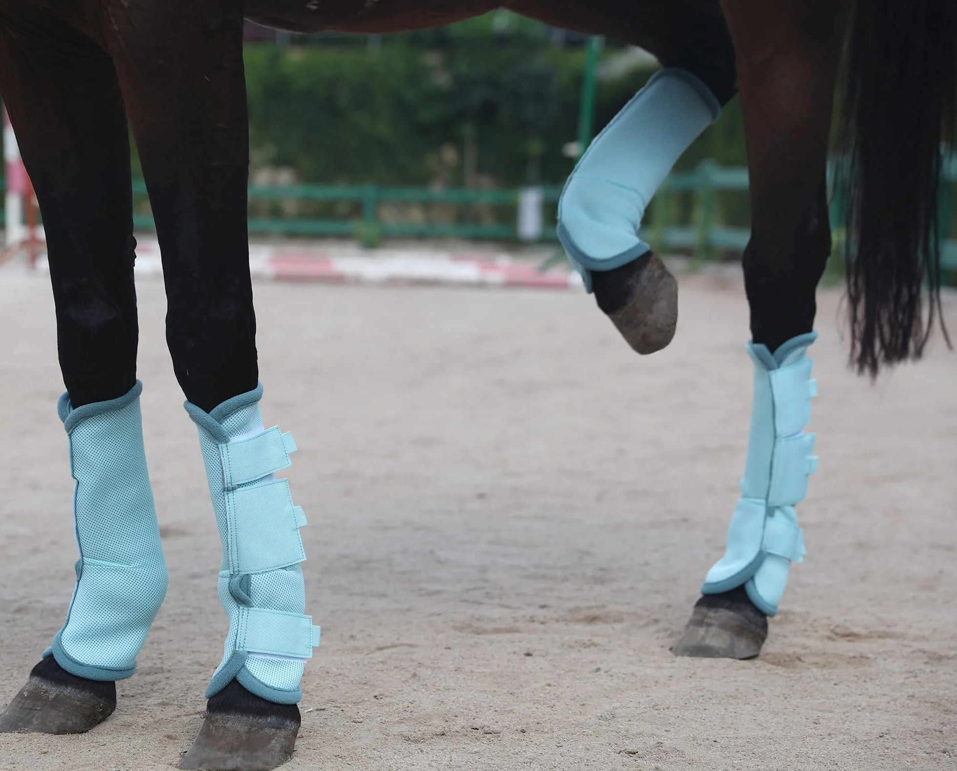 LEAFOREST Lot de 4 bottes anti-mouches pour cheval - Protection maximale contre les mouches (bleu, poney)