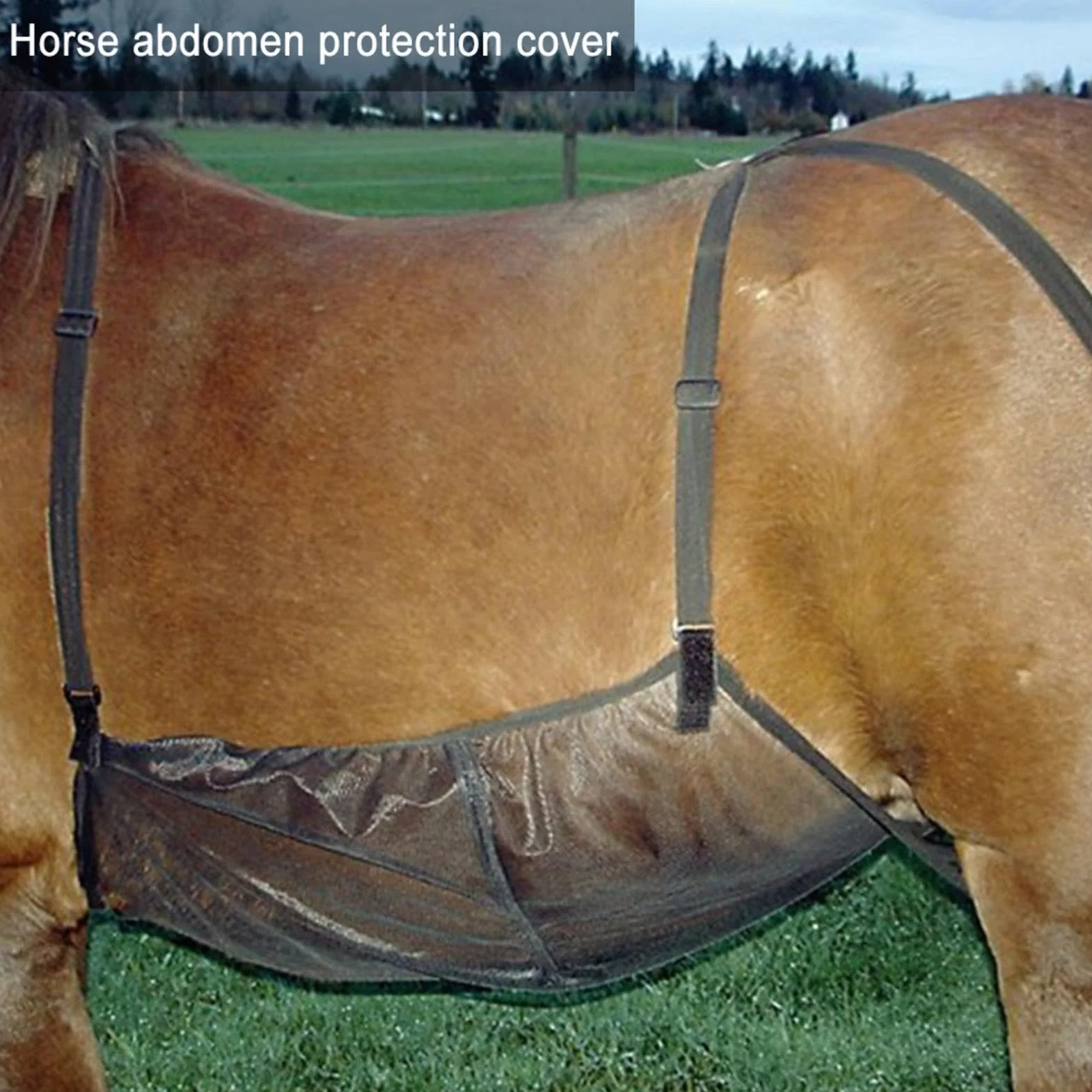Protection ventilée pour cheval, filet abdominal respirant, 94 x 71 cm, large