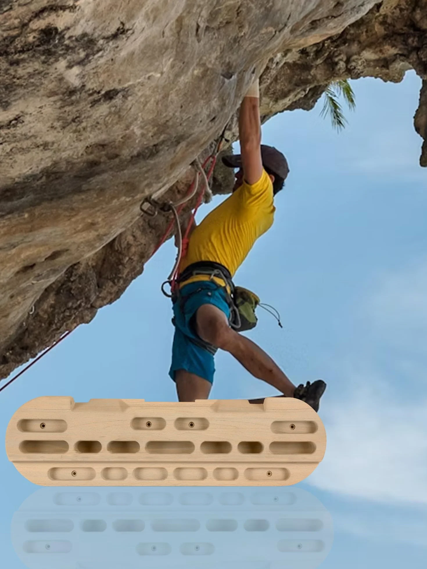 Hangboard planche d'escalade à doigts en bois de hêtre 120 kg