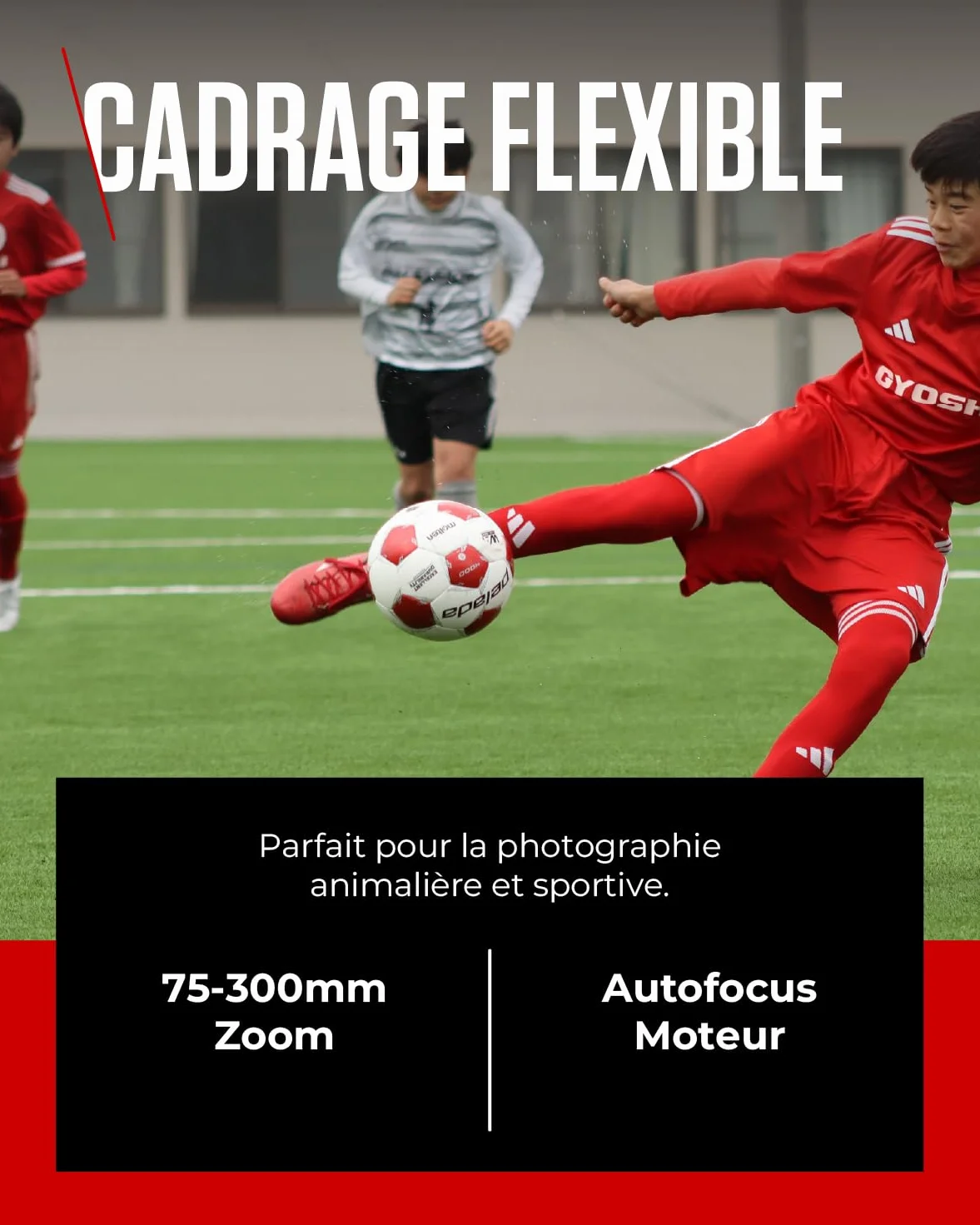 Objectif Canon RF 75-300mm F4-5.6 Téléobjectif Zoom pour Photographie Animalière Sportive Moteur AF Traitement Super Spectra Compatible EOS R