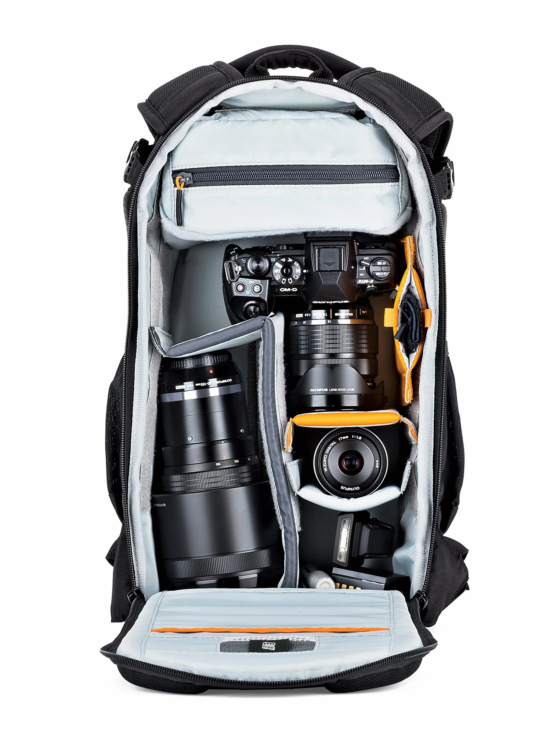 Lowepro Flipside Camera Backpack