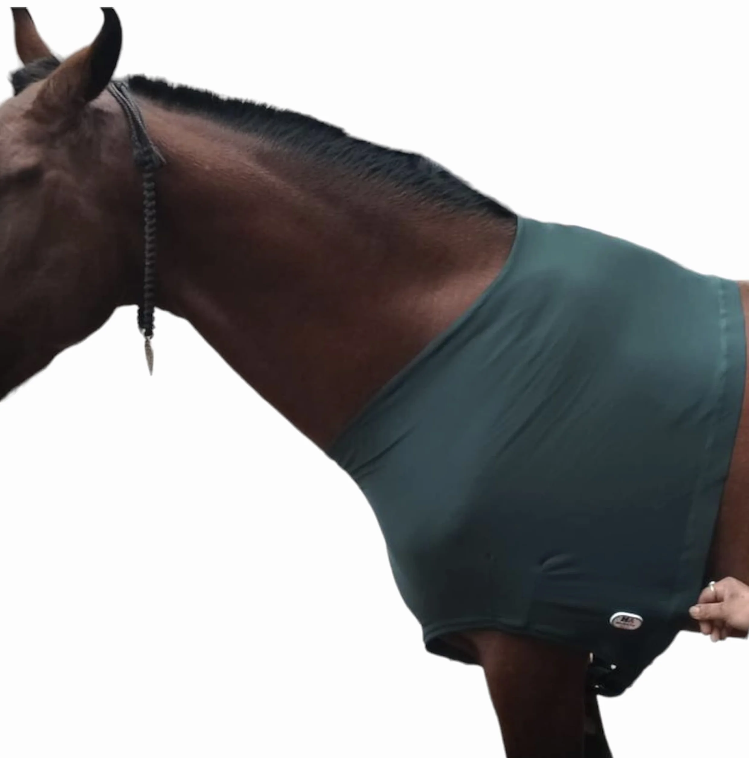 Protège-épaules Cheval Lycra Stretch Grand Vert Chasseur Majestic Ally