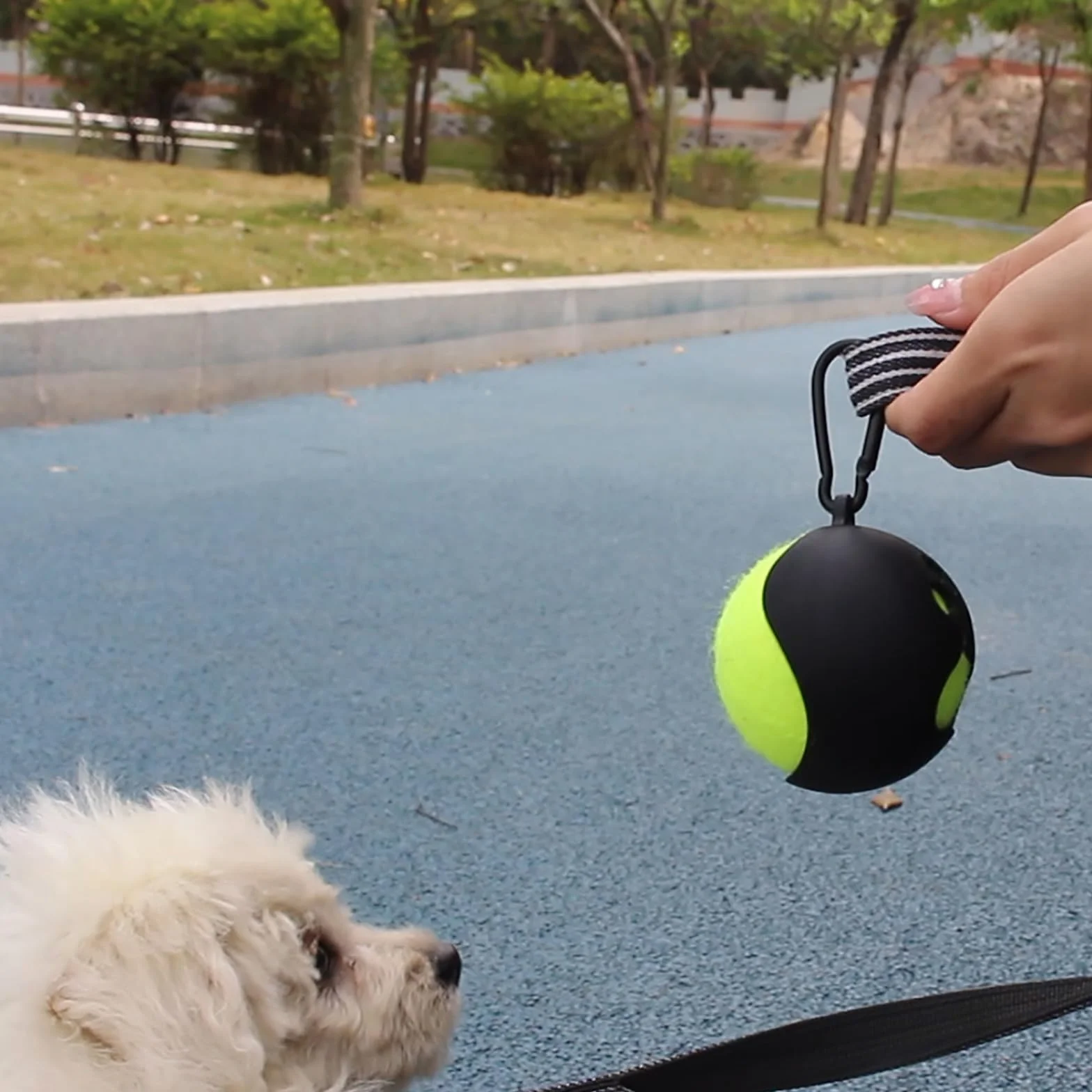 Porte-boule portable pour chien avec laisse Support de balle de tennis pour extérieur
