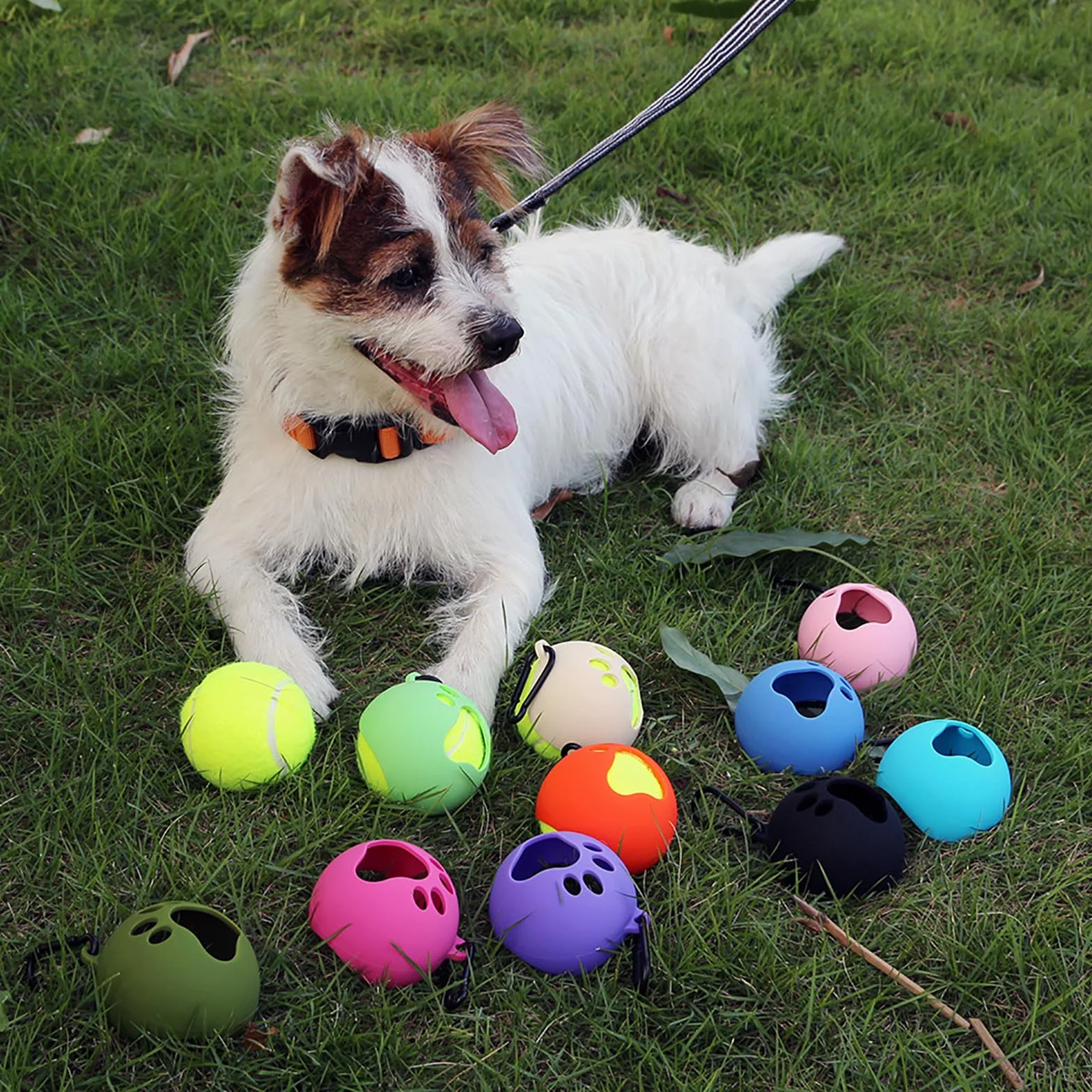Porte-boule portable pour chien avec laisse Support de balle de tennis pour extérieur