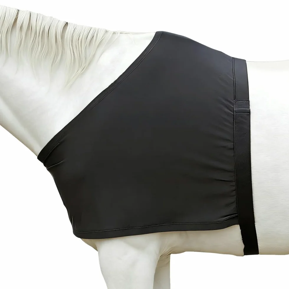 MiOYOOW Protection d'épaules pour Chevaux, Gilet d'équitation Extensible Anti-frottement