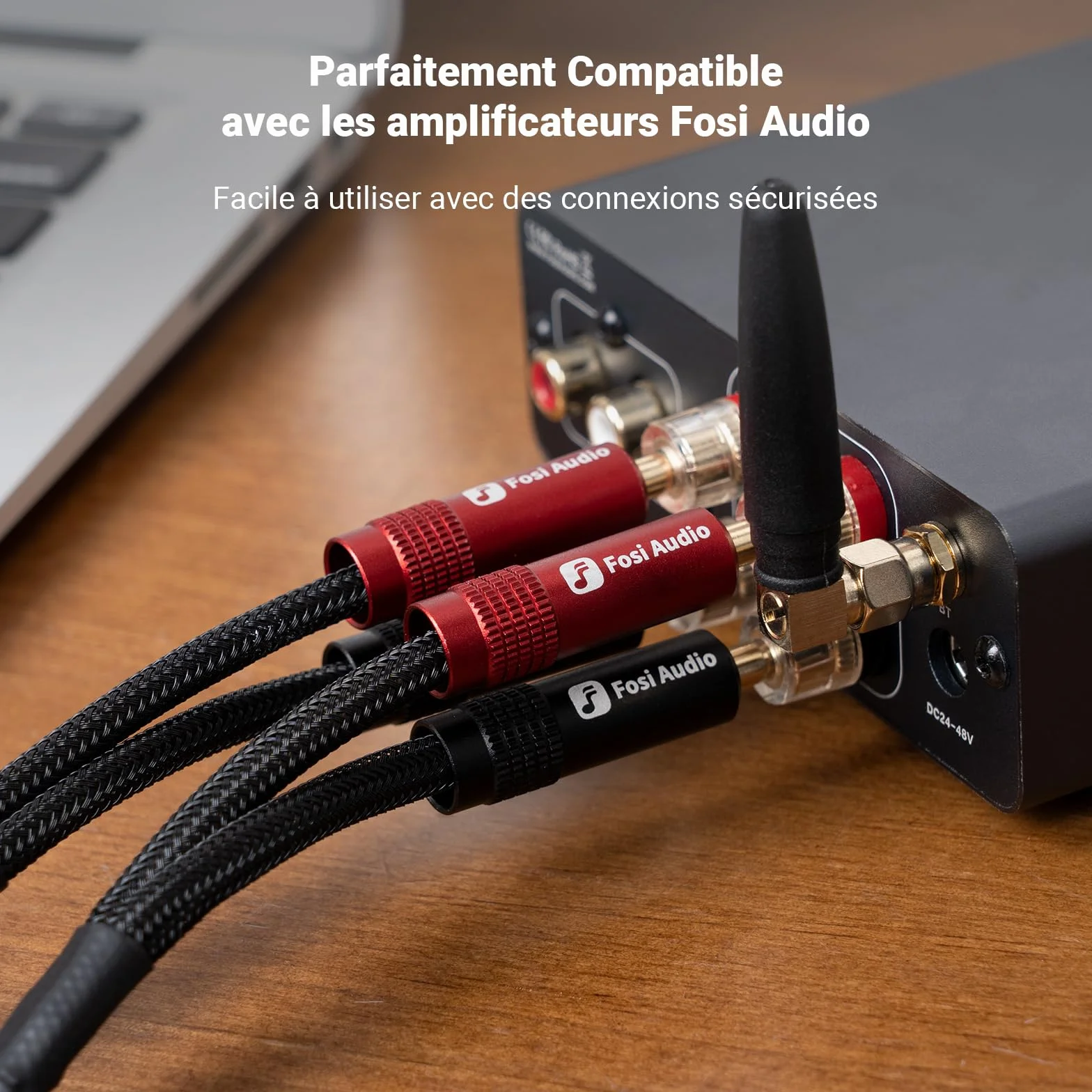 Fosi Audio Fiches Bananes pour Câbles d'enceintes, 2 Paires Plaquées or